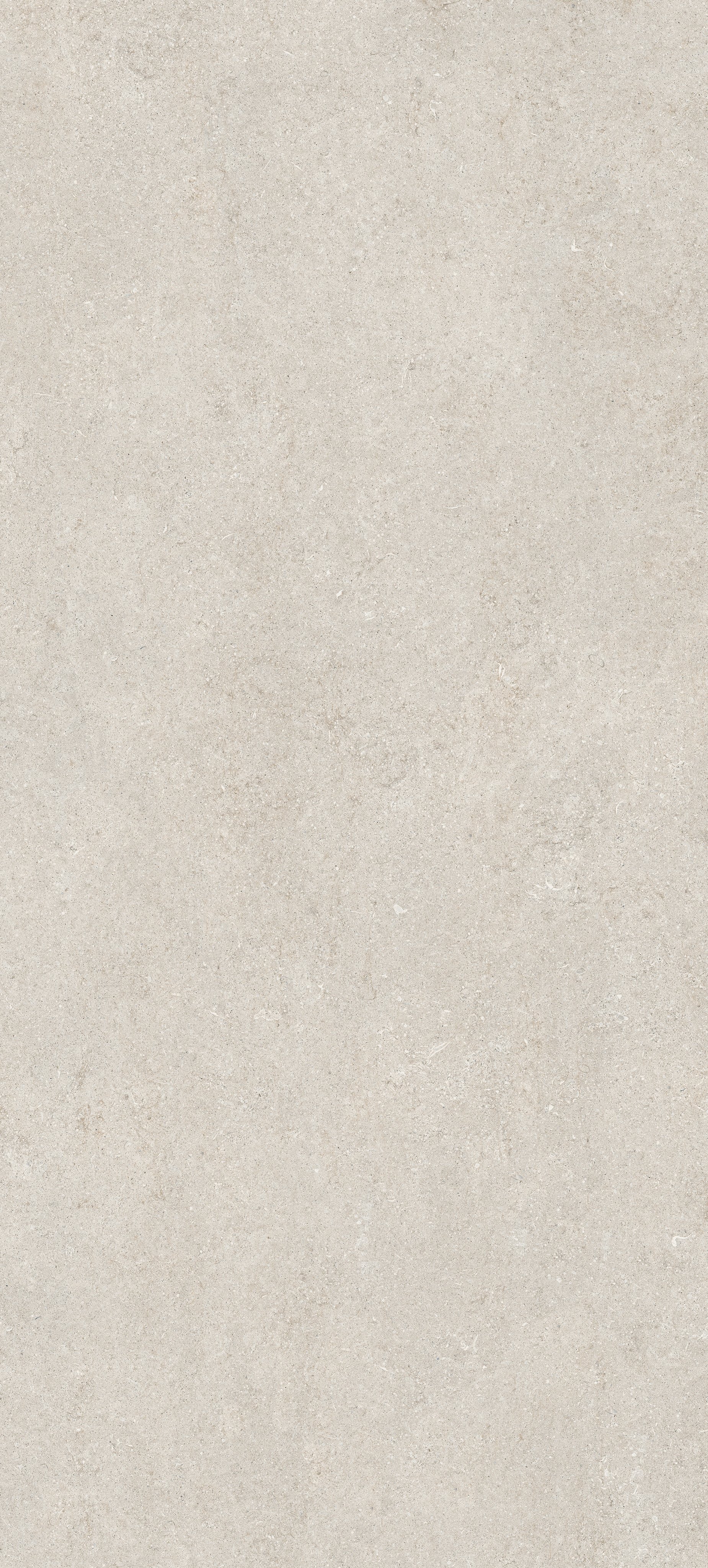 White Fossil 120x280