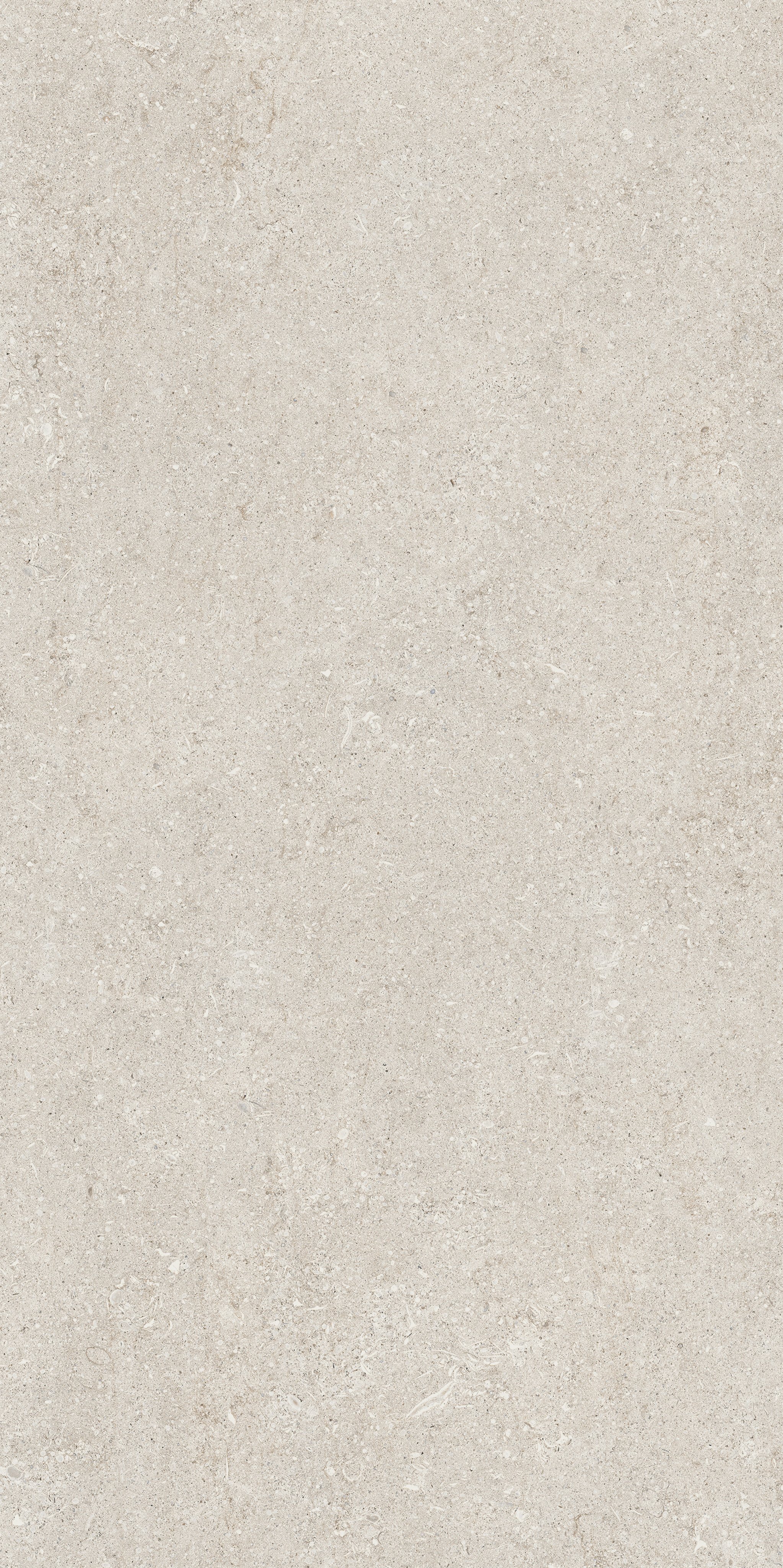 White Fossil 60x120 9 мм арт. 768294
