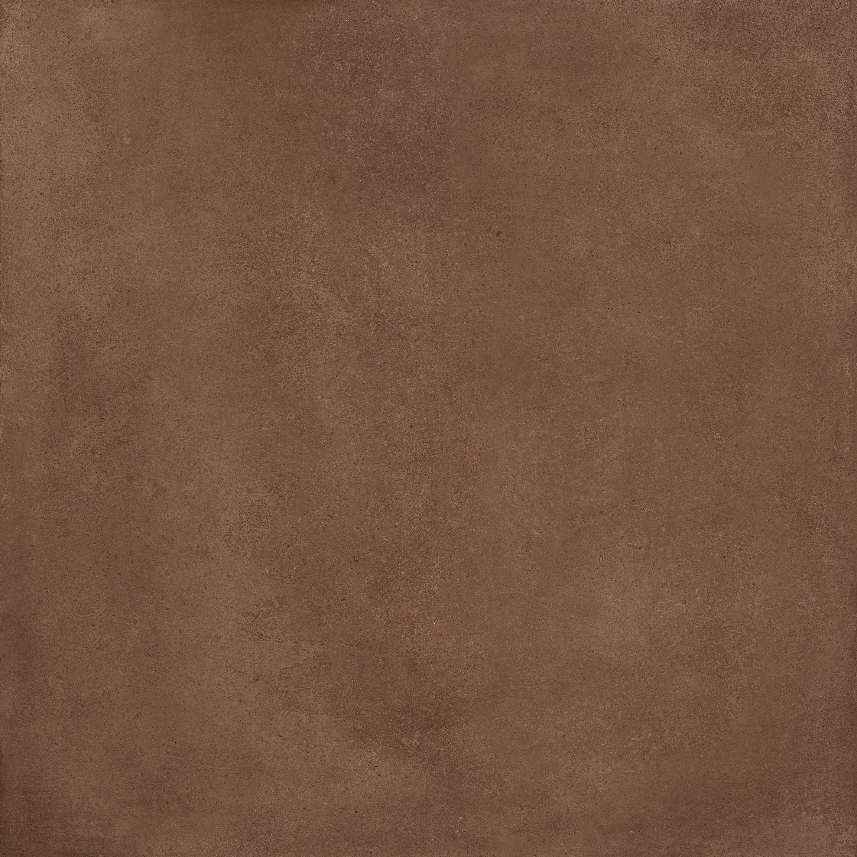 Amaranto 120x120