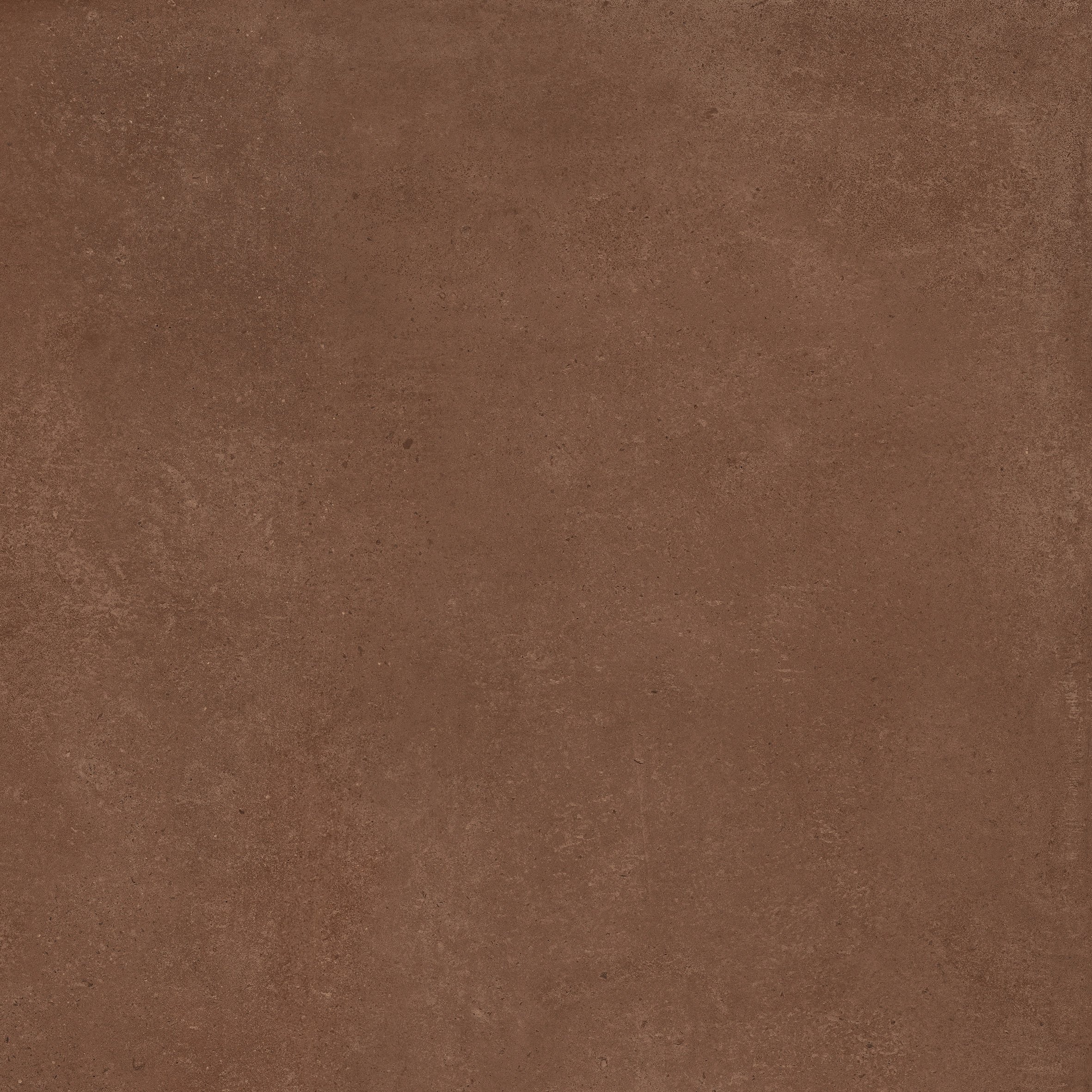 Amaranto 80x80