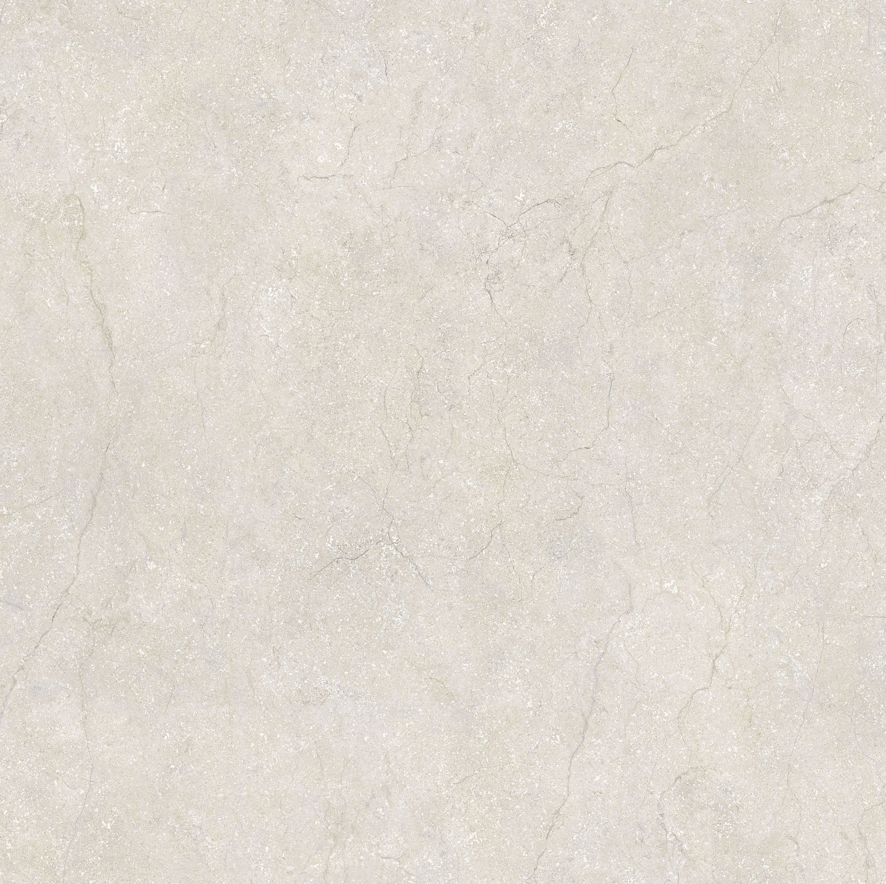 Cotton 120x120