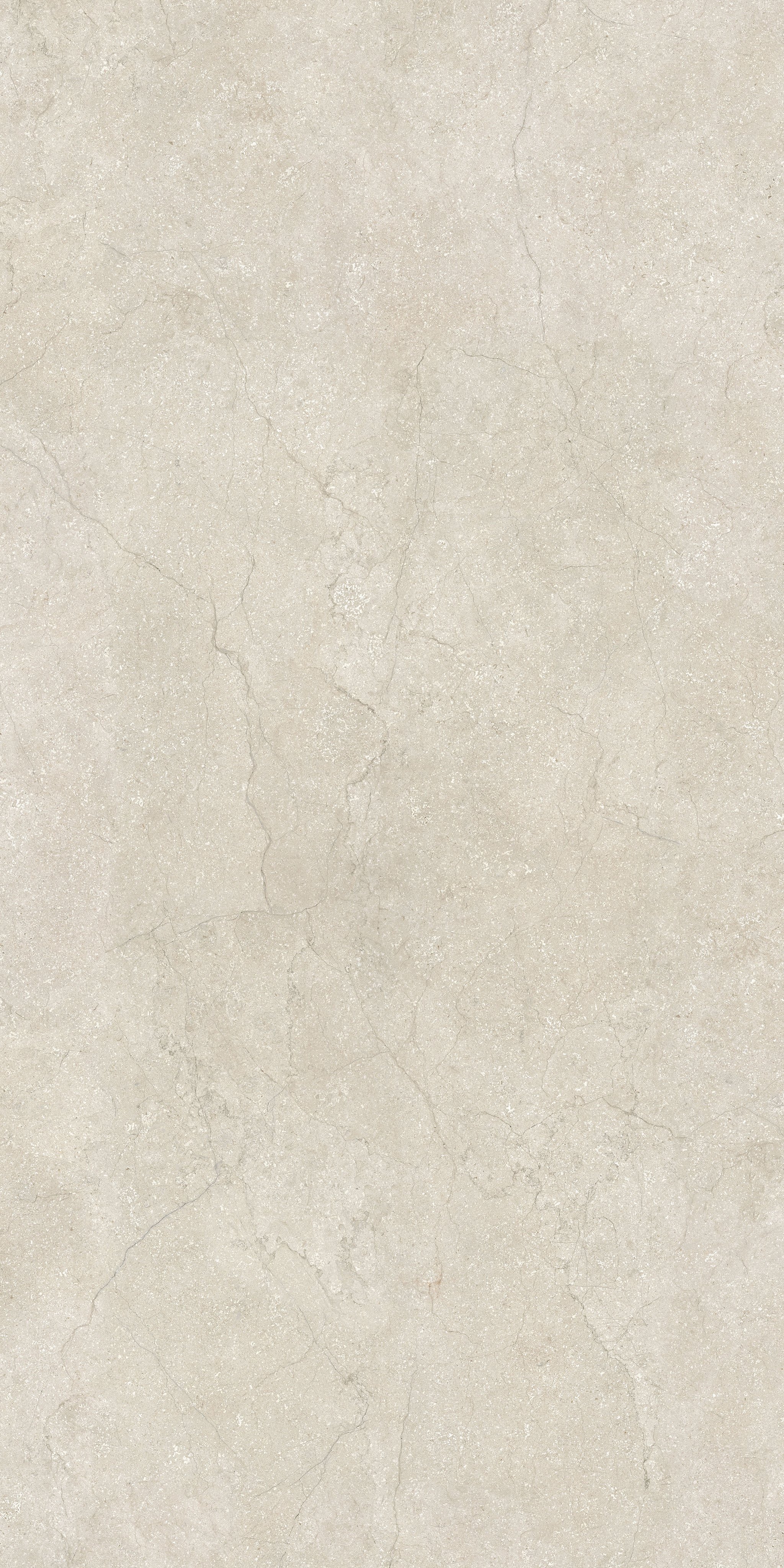Shell 120x240
