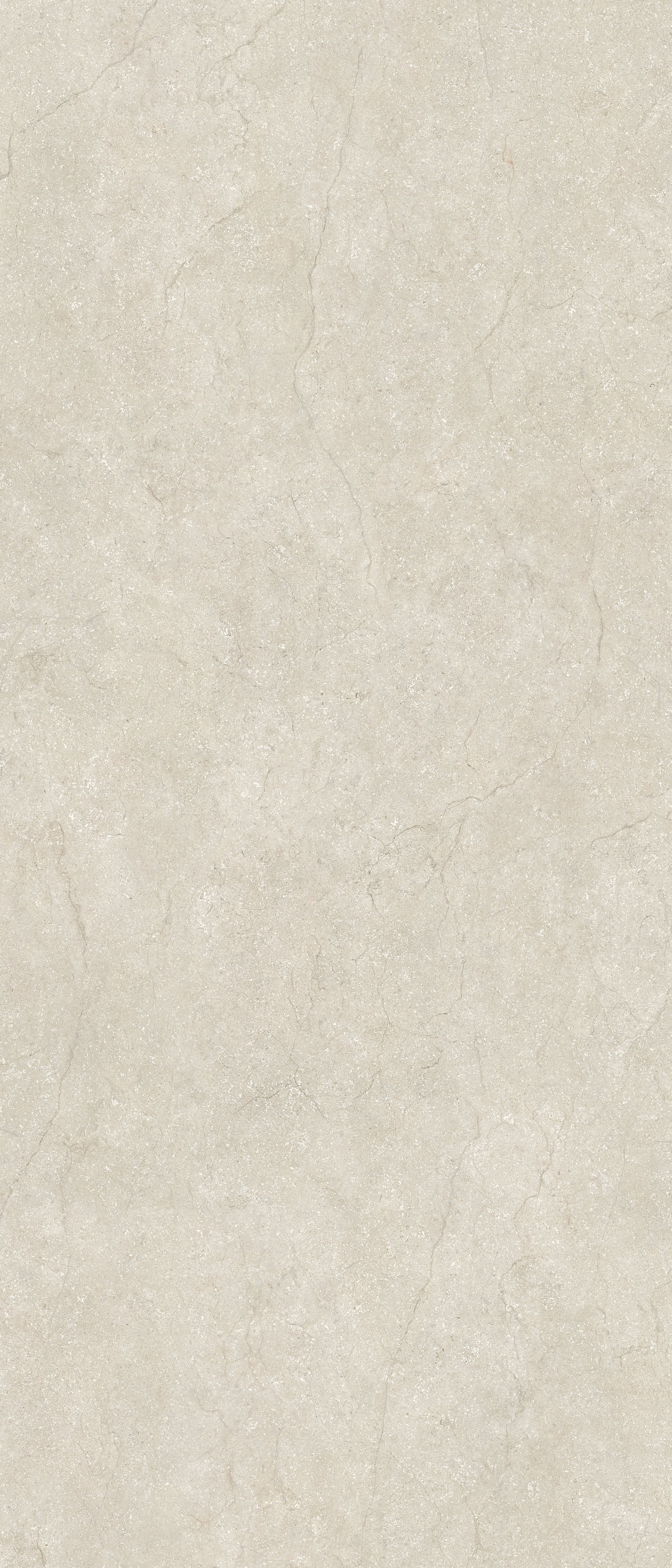 Shell 120x280