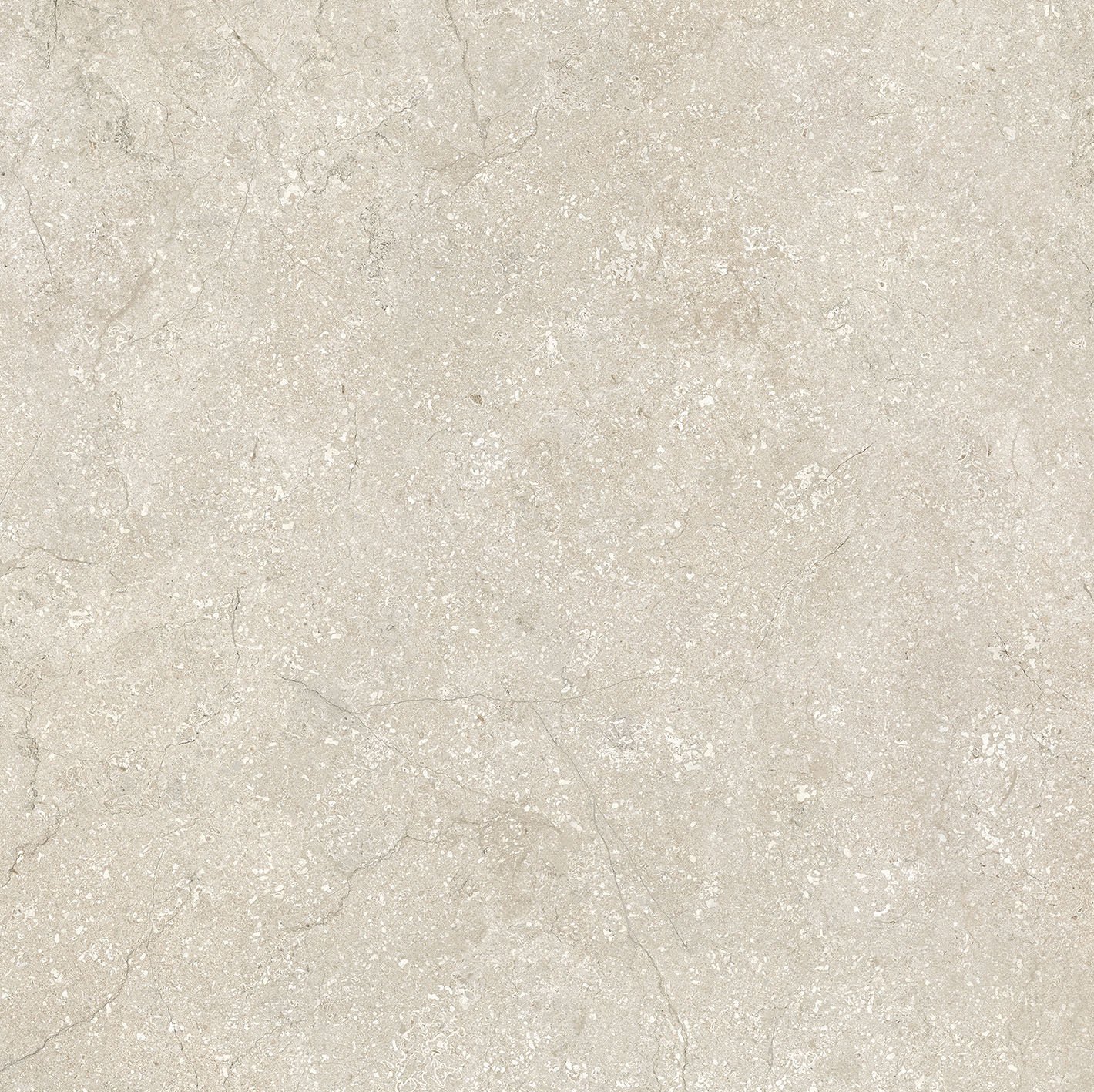 Керамогранит Shell 60x60 60×60 см - коллекция Stone Life, Florim