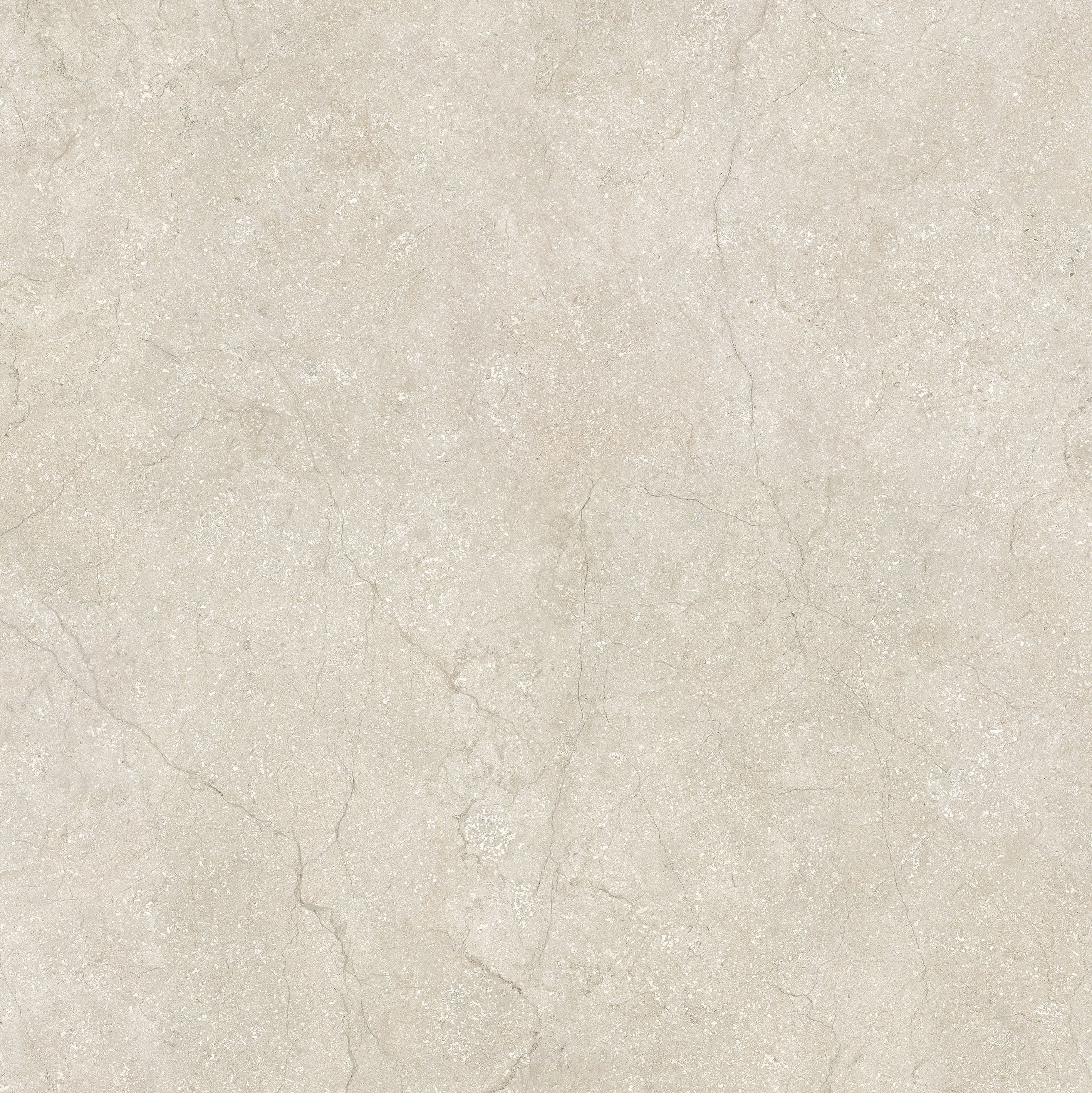 Shell 80x80