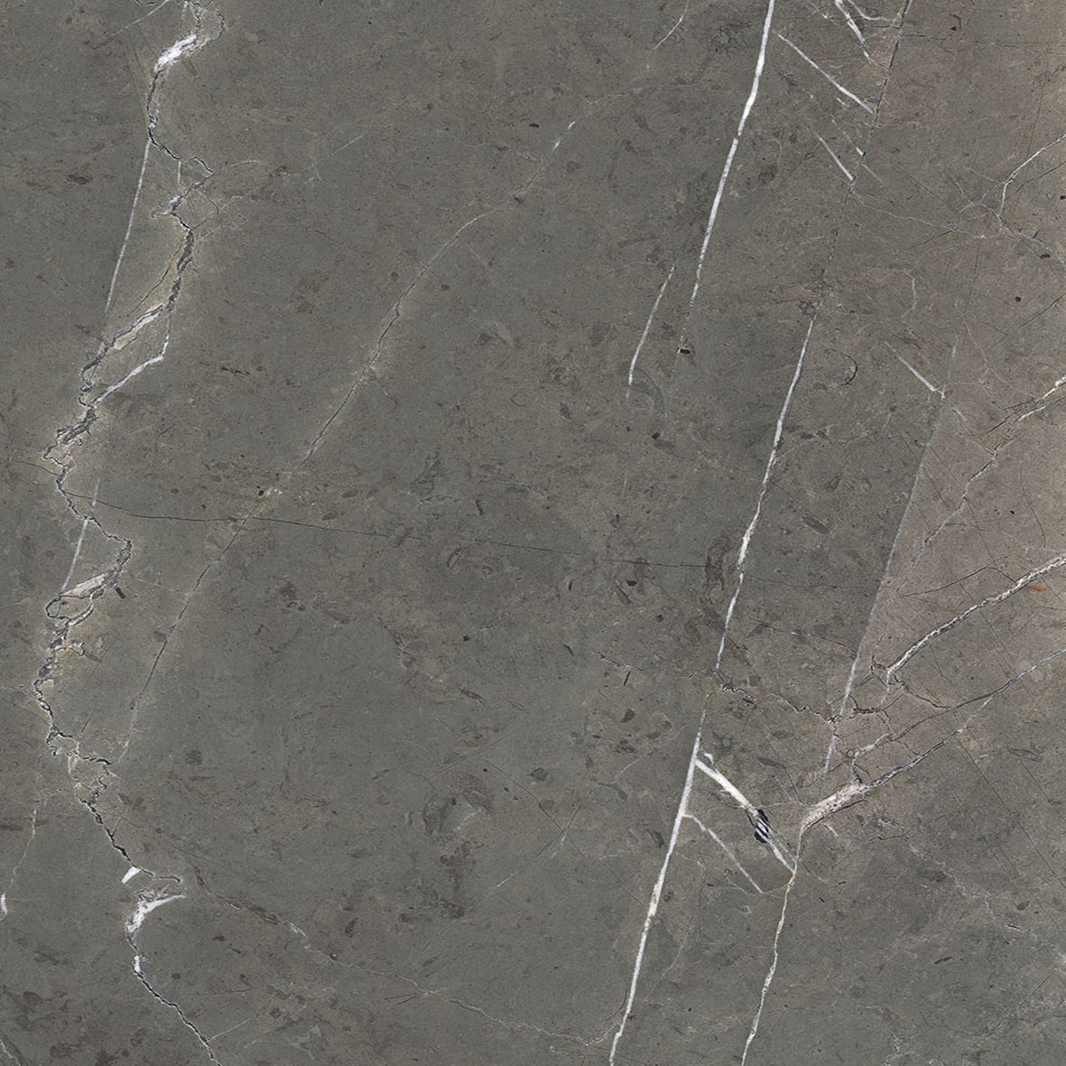 Amani Bronze 60x60