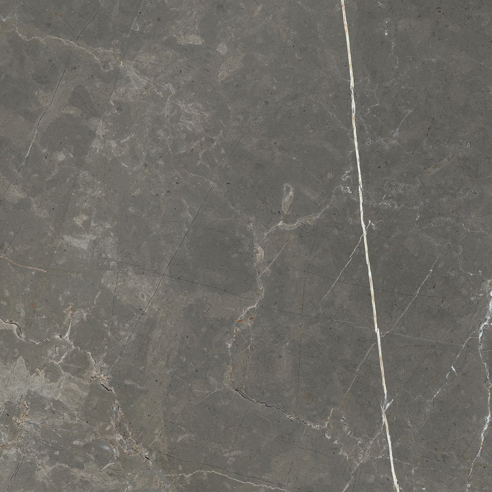 Amani Bronze 80x80