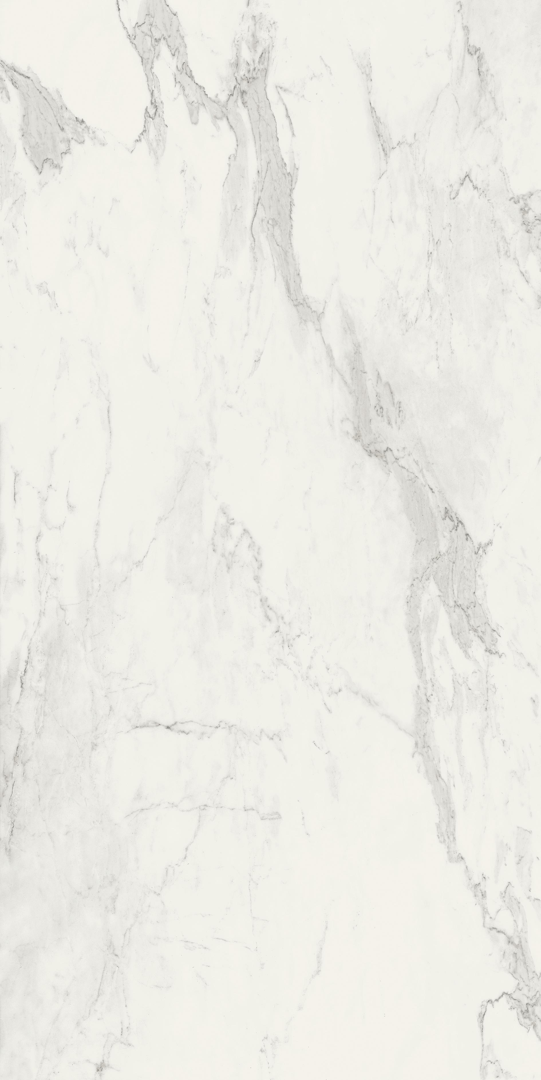Stone Calacatta 120x240 матовая Smooth