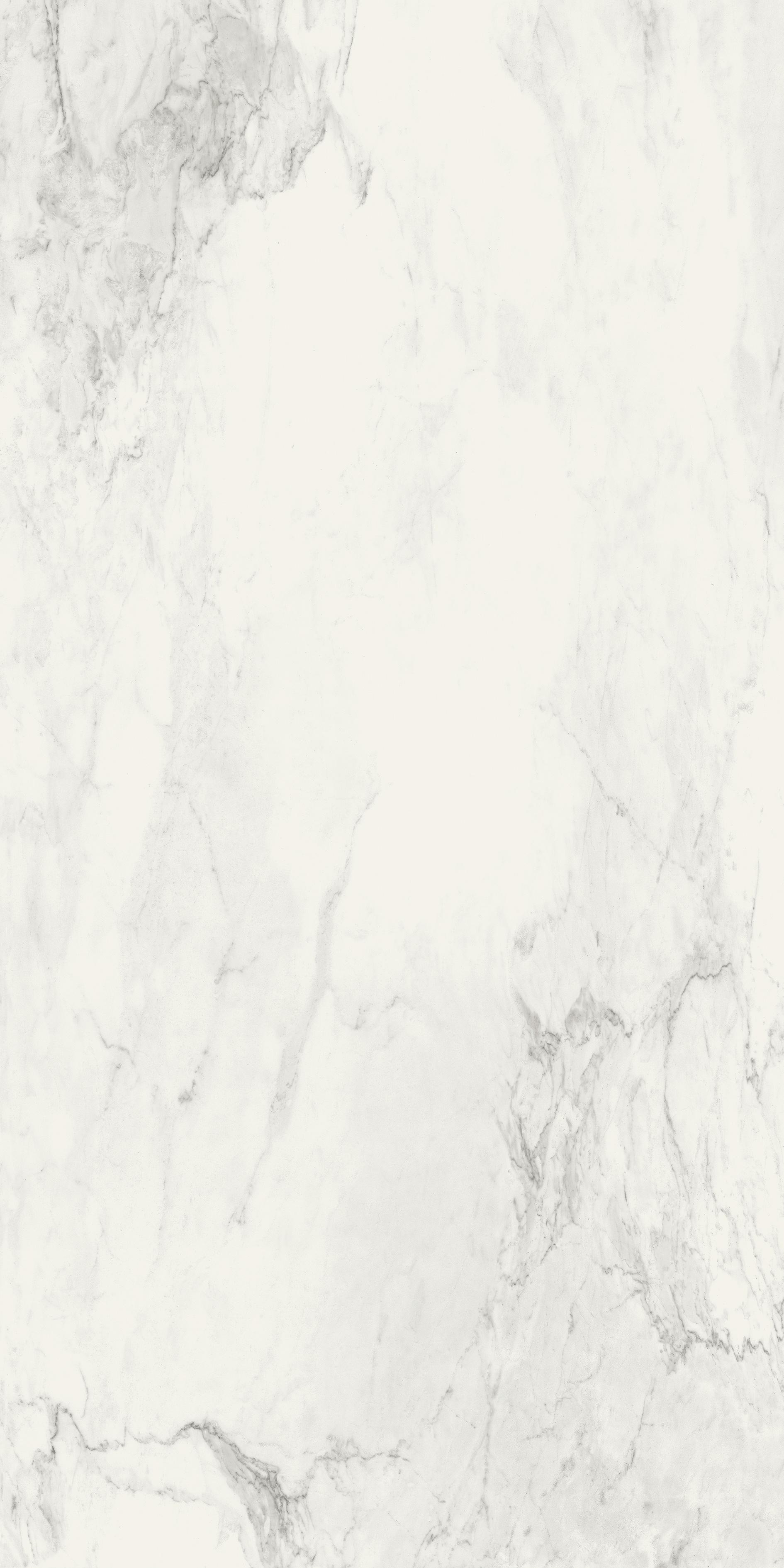 Stone Calacatta 120x240 матовая Comfort