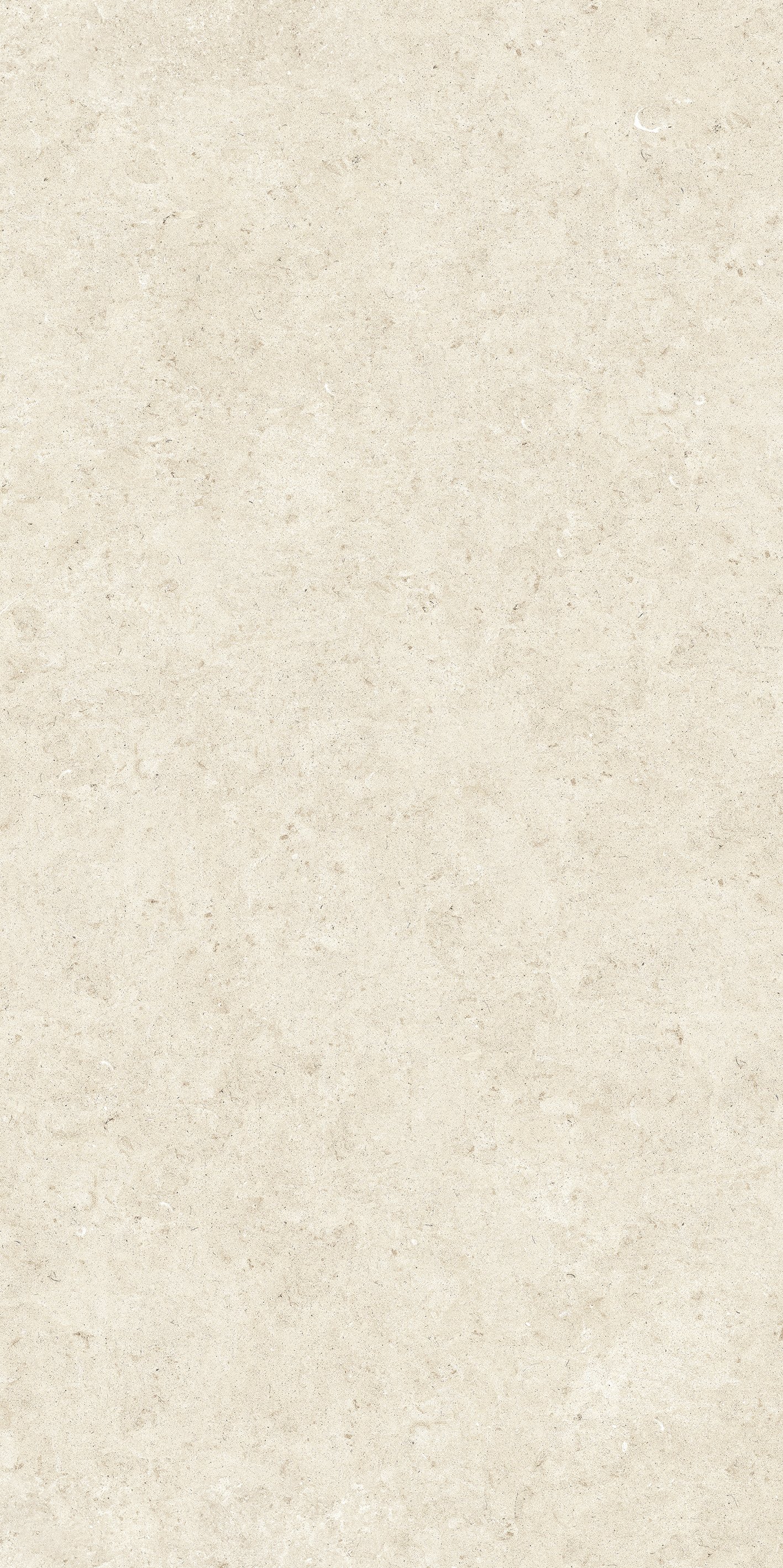Stone_02 120x240