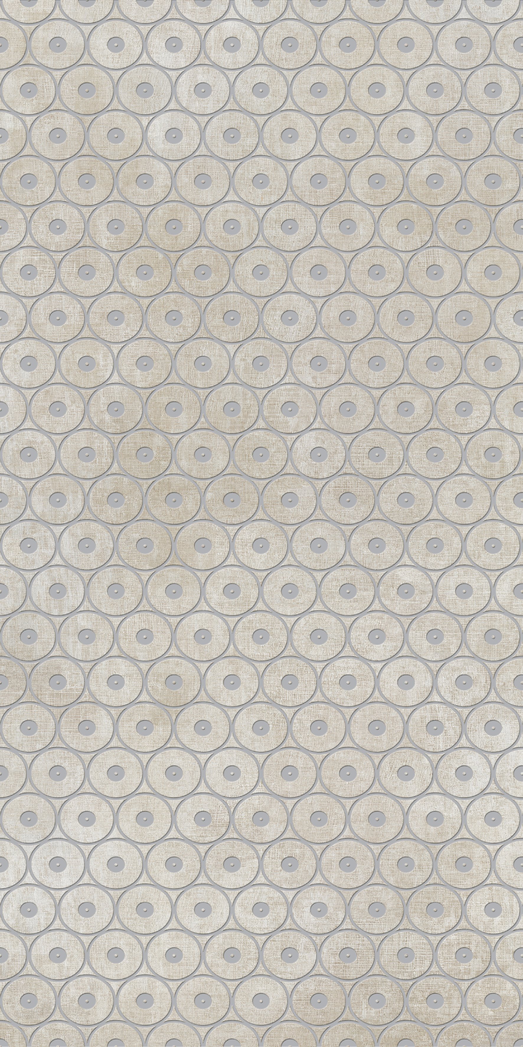 Decoro Anelli Bianco Argento 120x240 матовая 6 мм