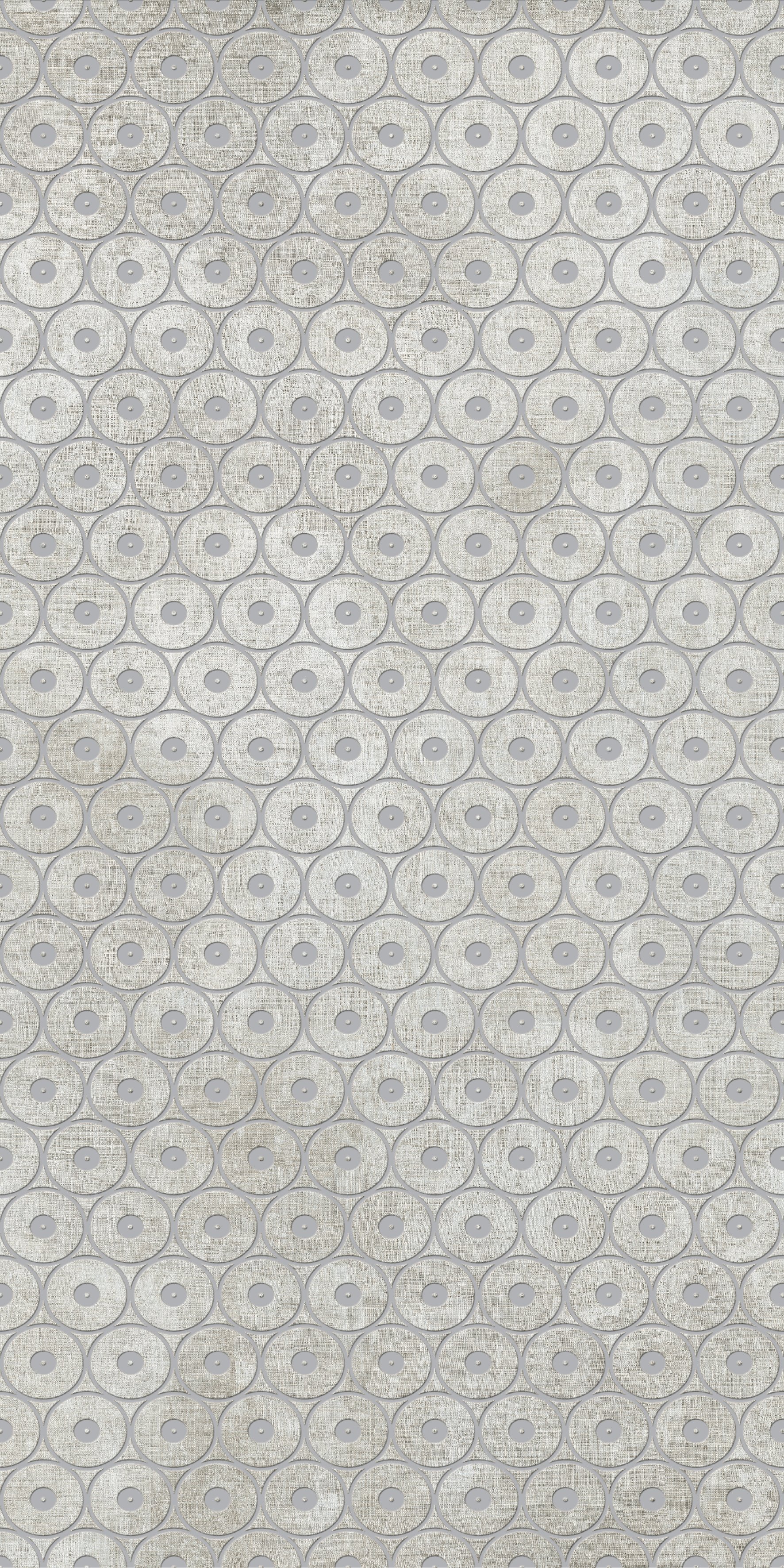 Decoro Anelli Grigio Argento 120x240 матовая 6 мм