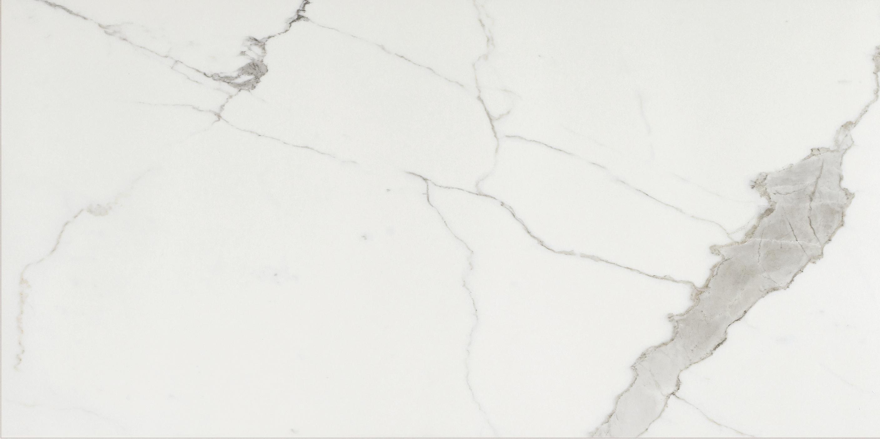 Calacatta 60x120 матовая