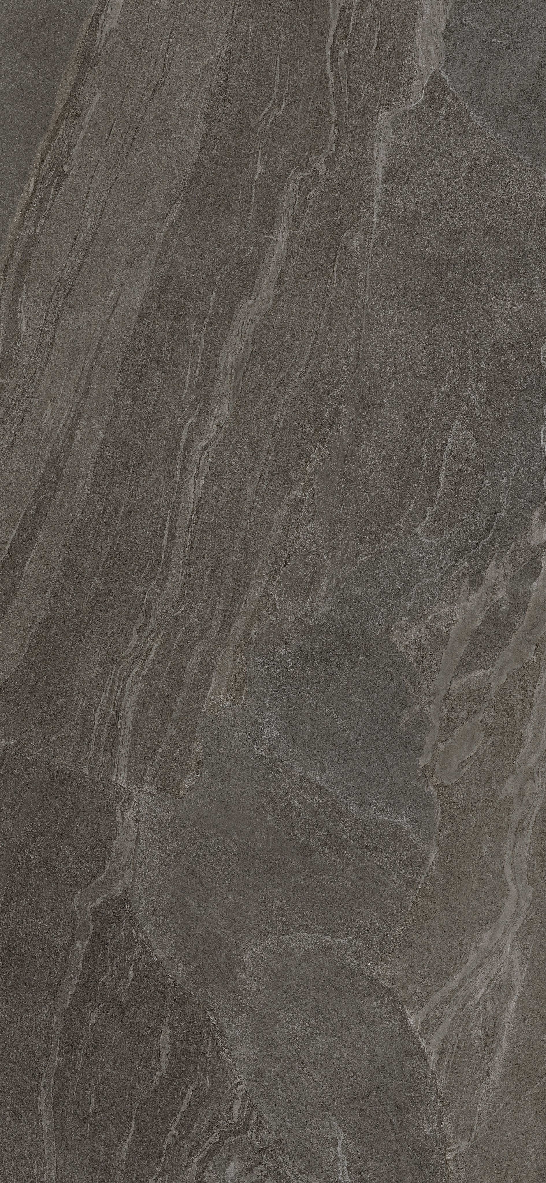 Bark 120x240