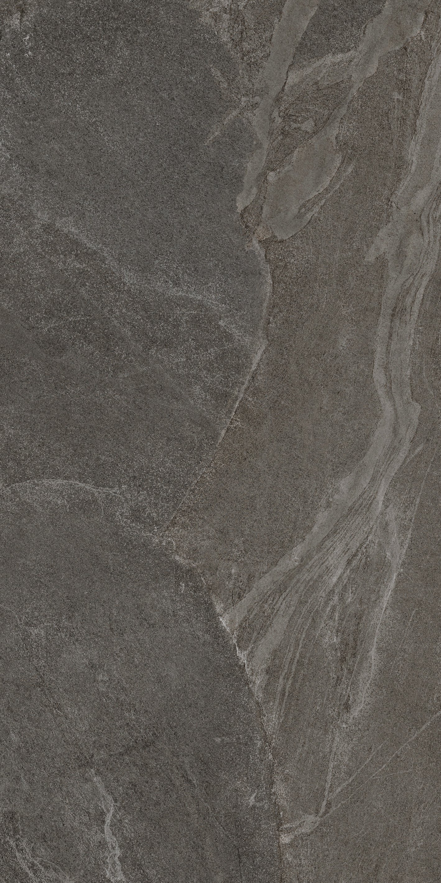 Bark 60x120 матовая 6 мм