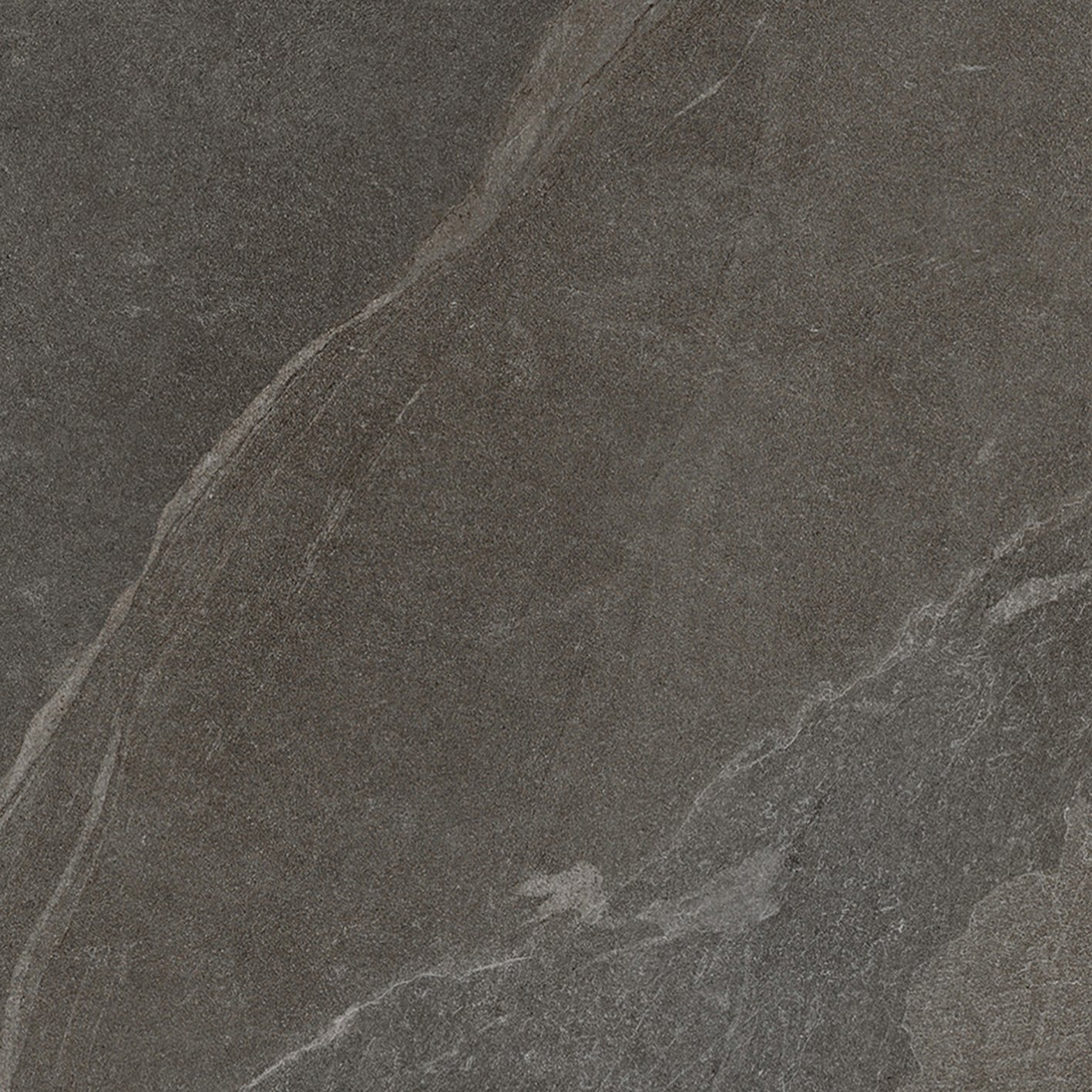 Bark 60x60