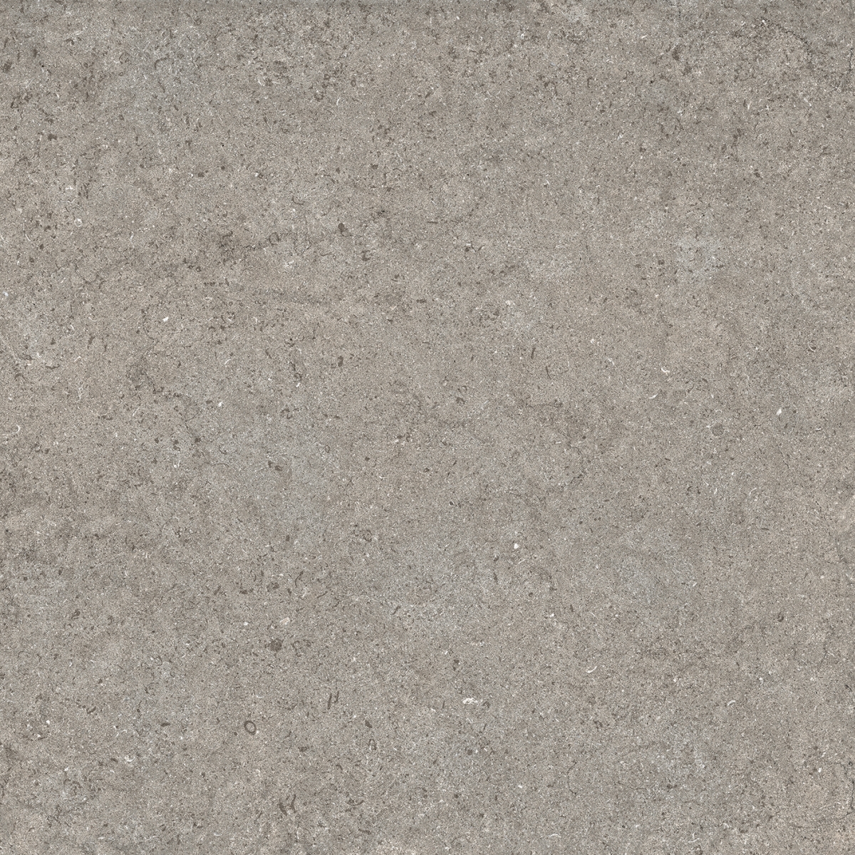 Керамогранит Грэй Натуральная 60×60 см - коллекция Discover, Italon