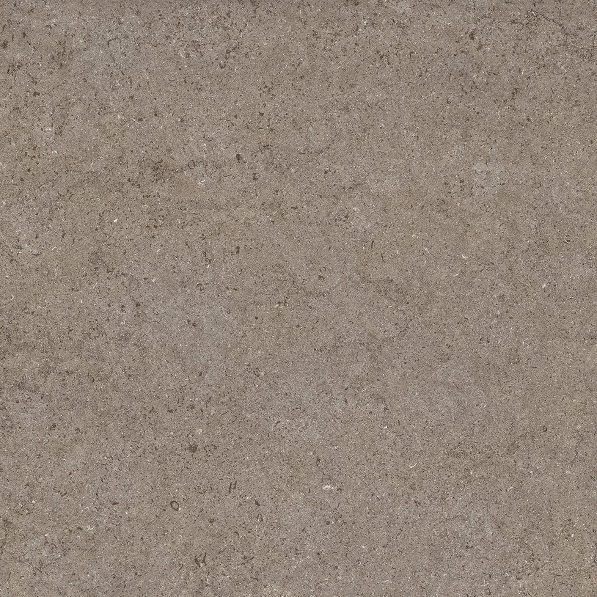 Керамогранит Дезерт 60×60 см - коллекция Discover, Italon