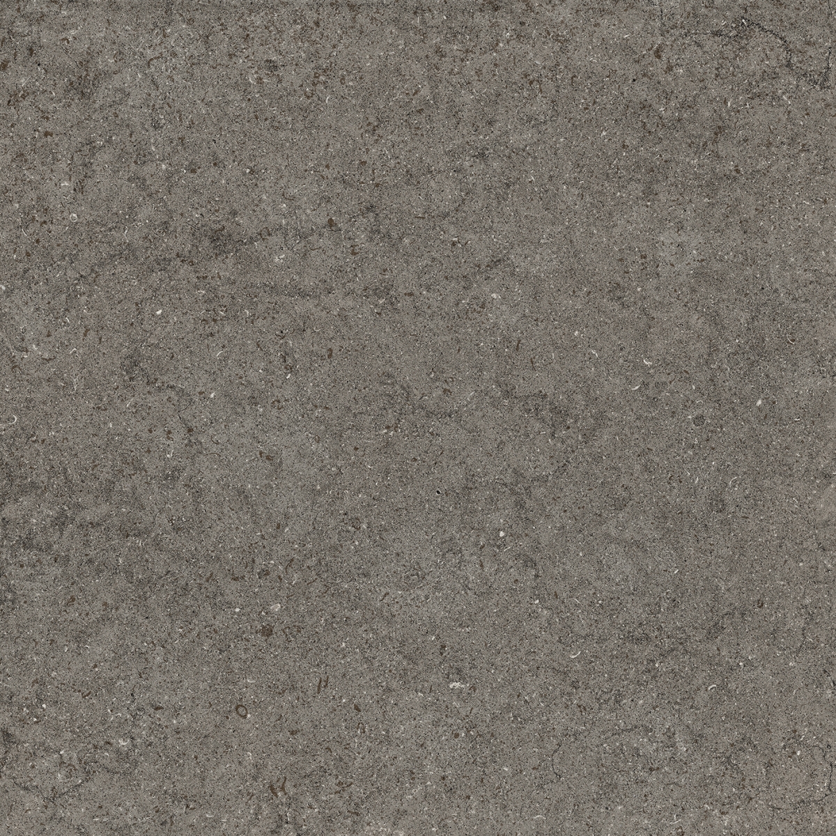 Керамогранит Фумэ Натуральная 60×60 см - коллекция Discover, Italon
