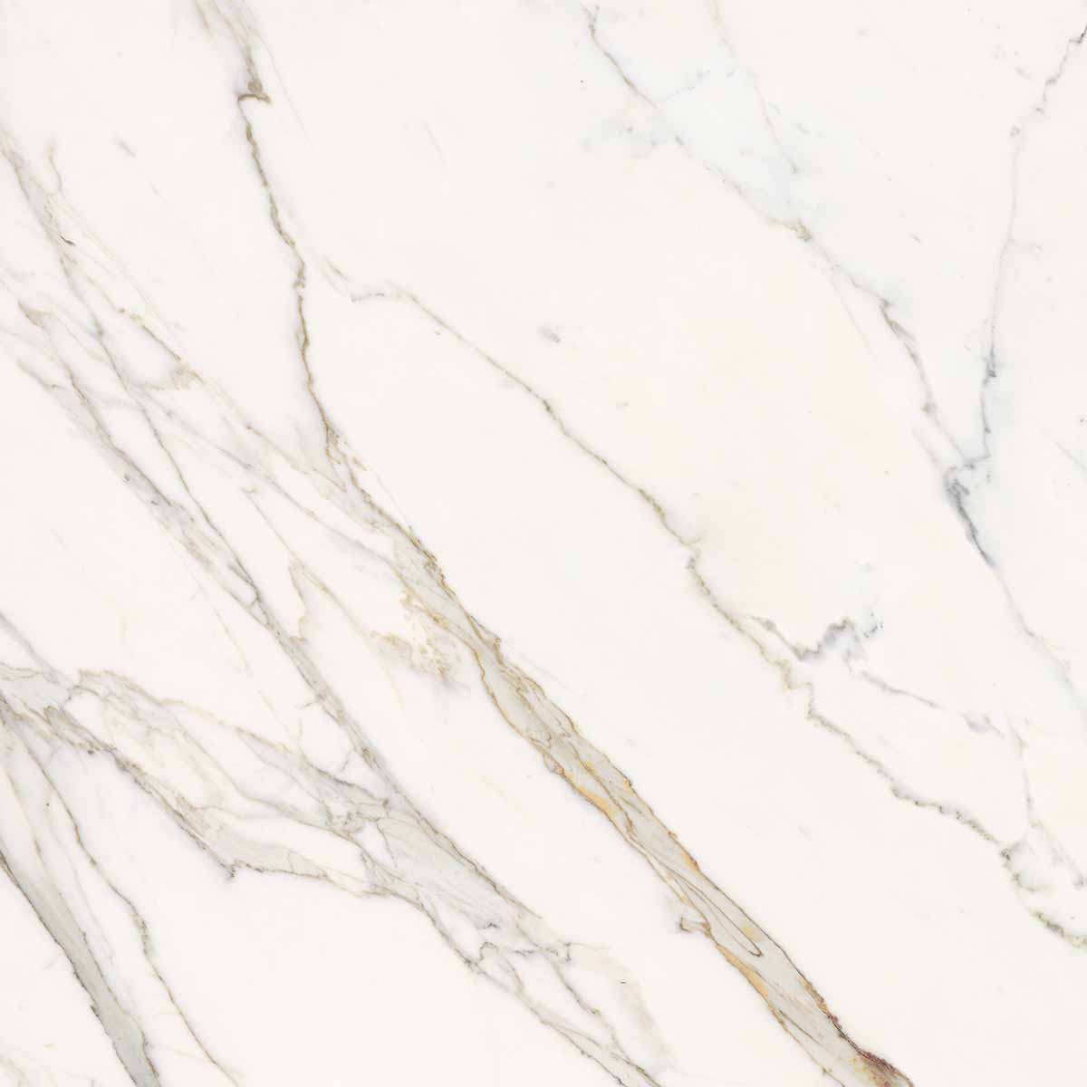 Elements Lux calacatta statuarietto 60×60