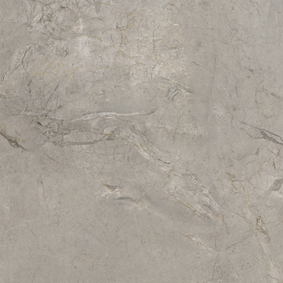 Elements Lux Silver Grey 120×120
