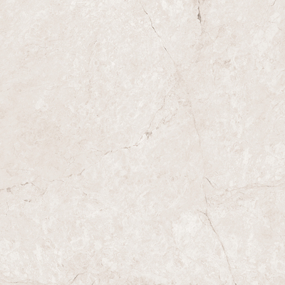 Omnia Emperador White 120×120
