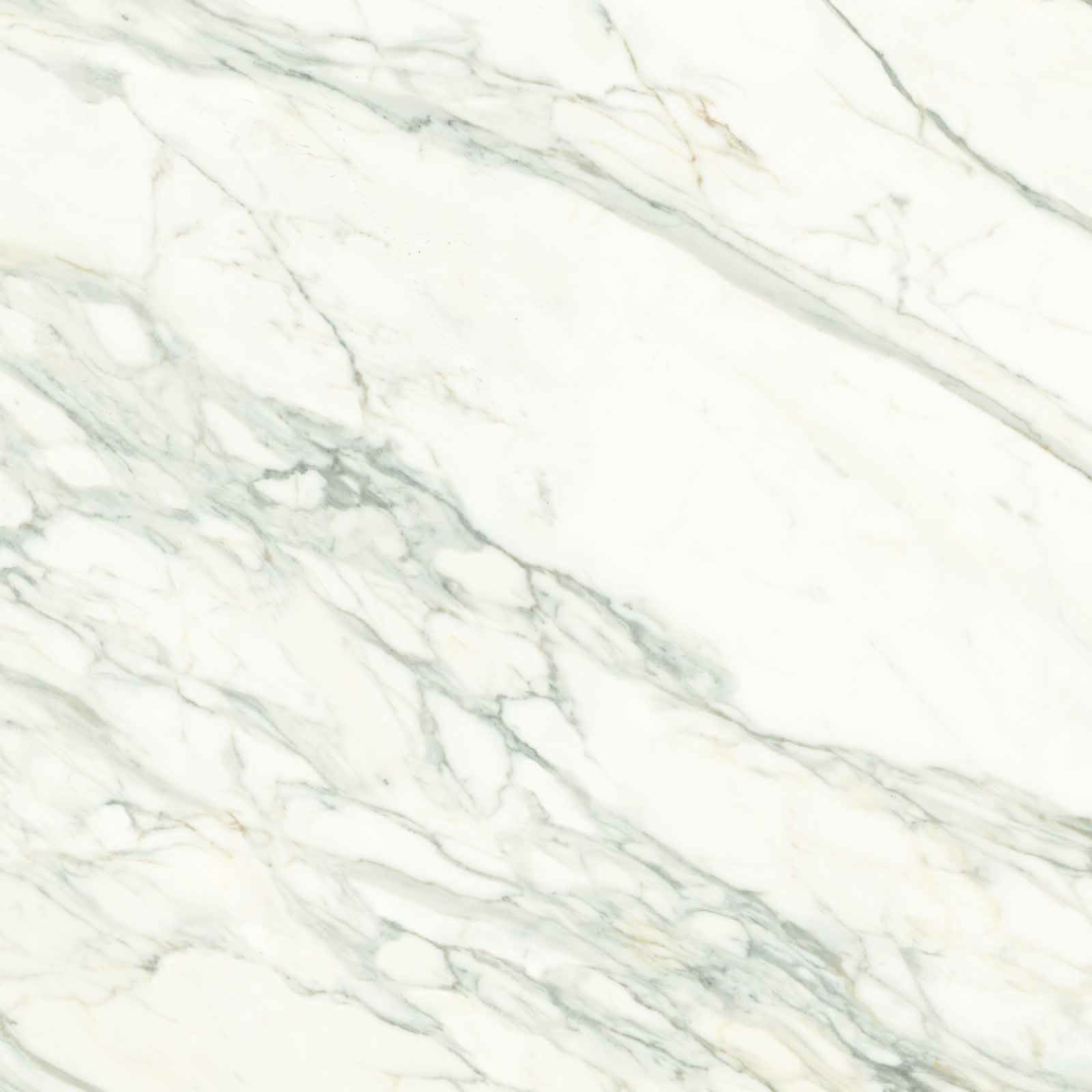 Керамогранит Versilia Borghini White 120×120 120×120 см