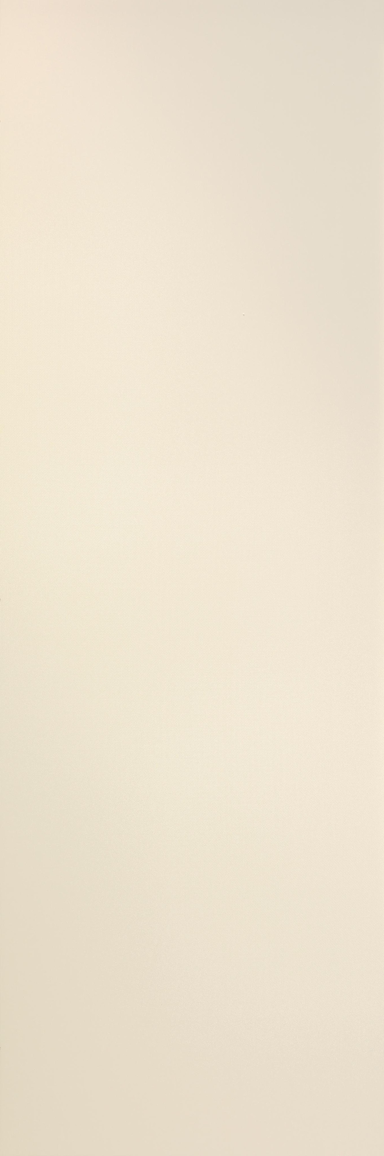 Керамогранит Brina Filo 100×300 см