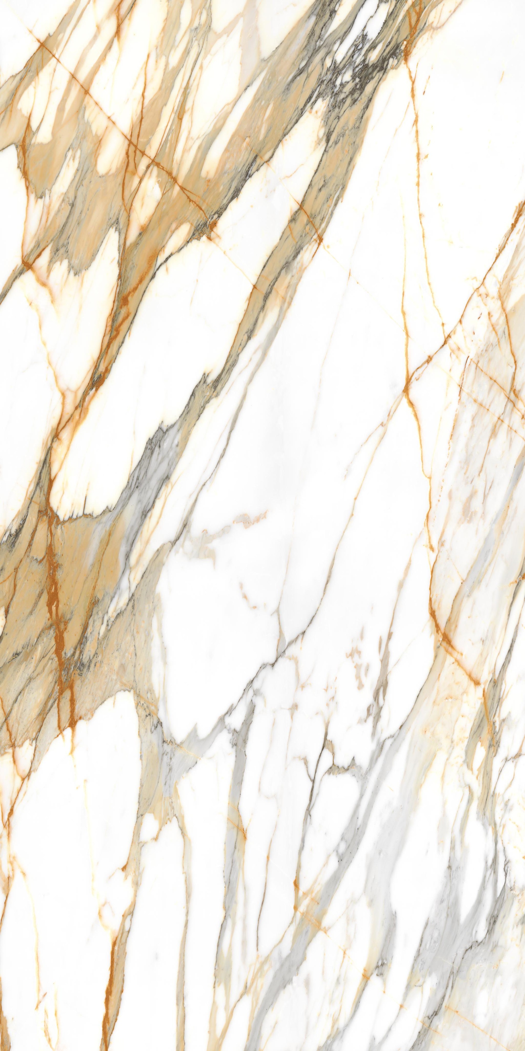 Calacatta Mediceo Book Match Polished