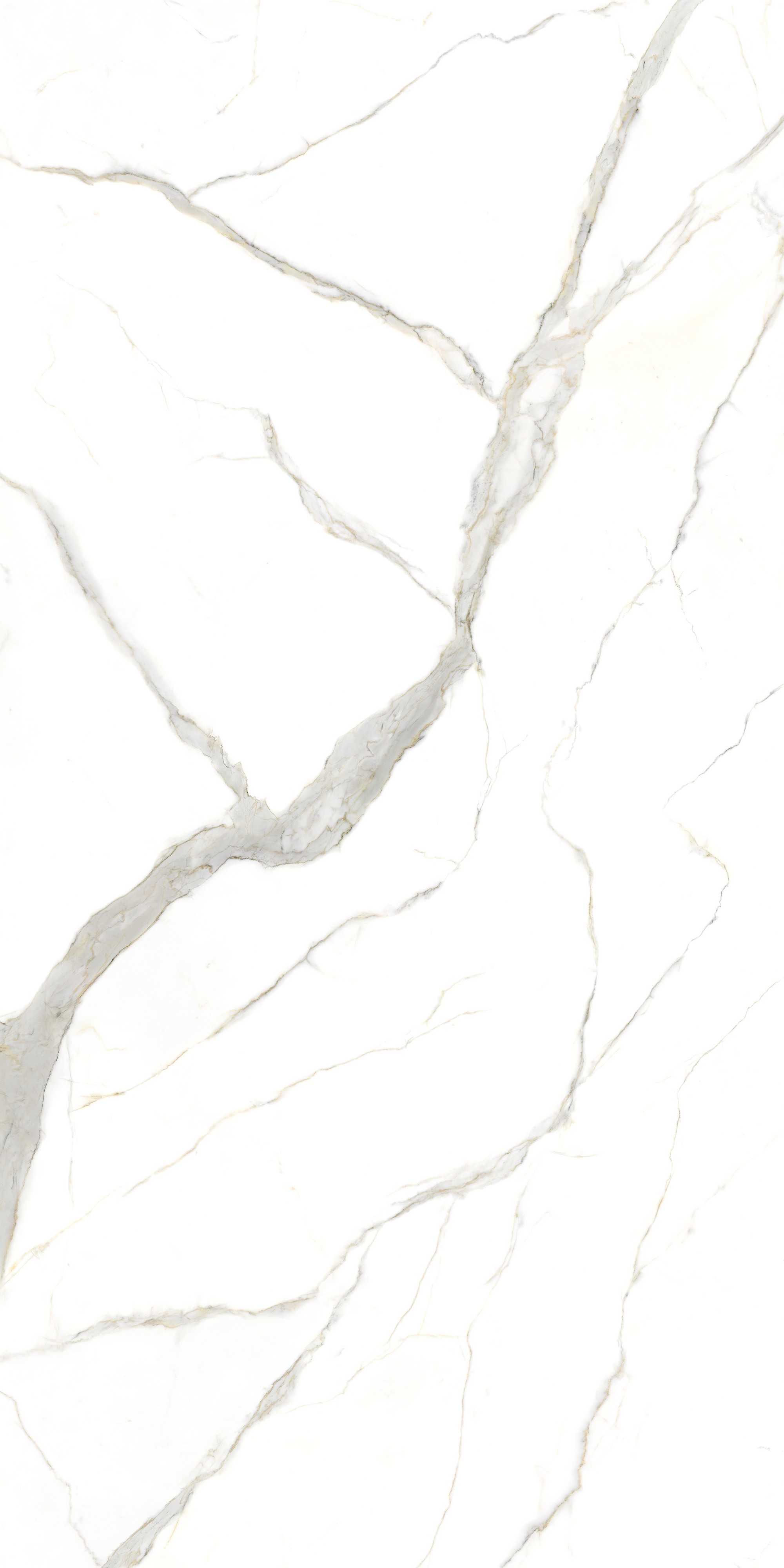 Calacatta Michelangelo Book Match Natural