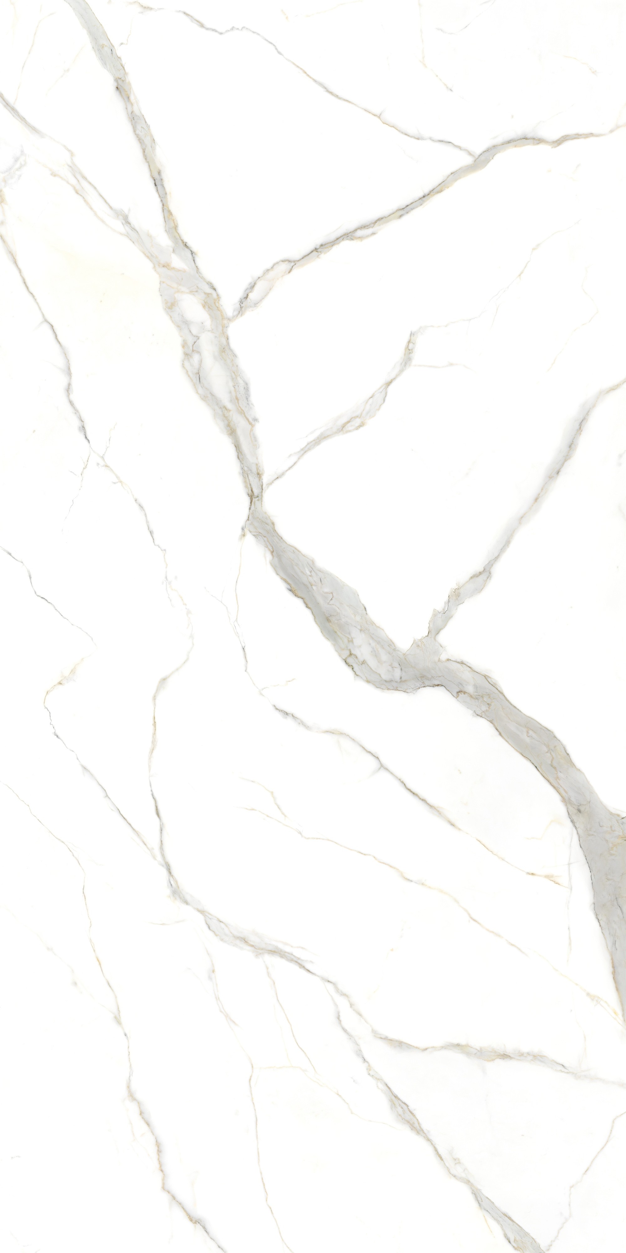 Calacatta Michelangelo Book Match Polished