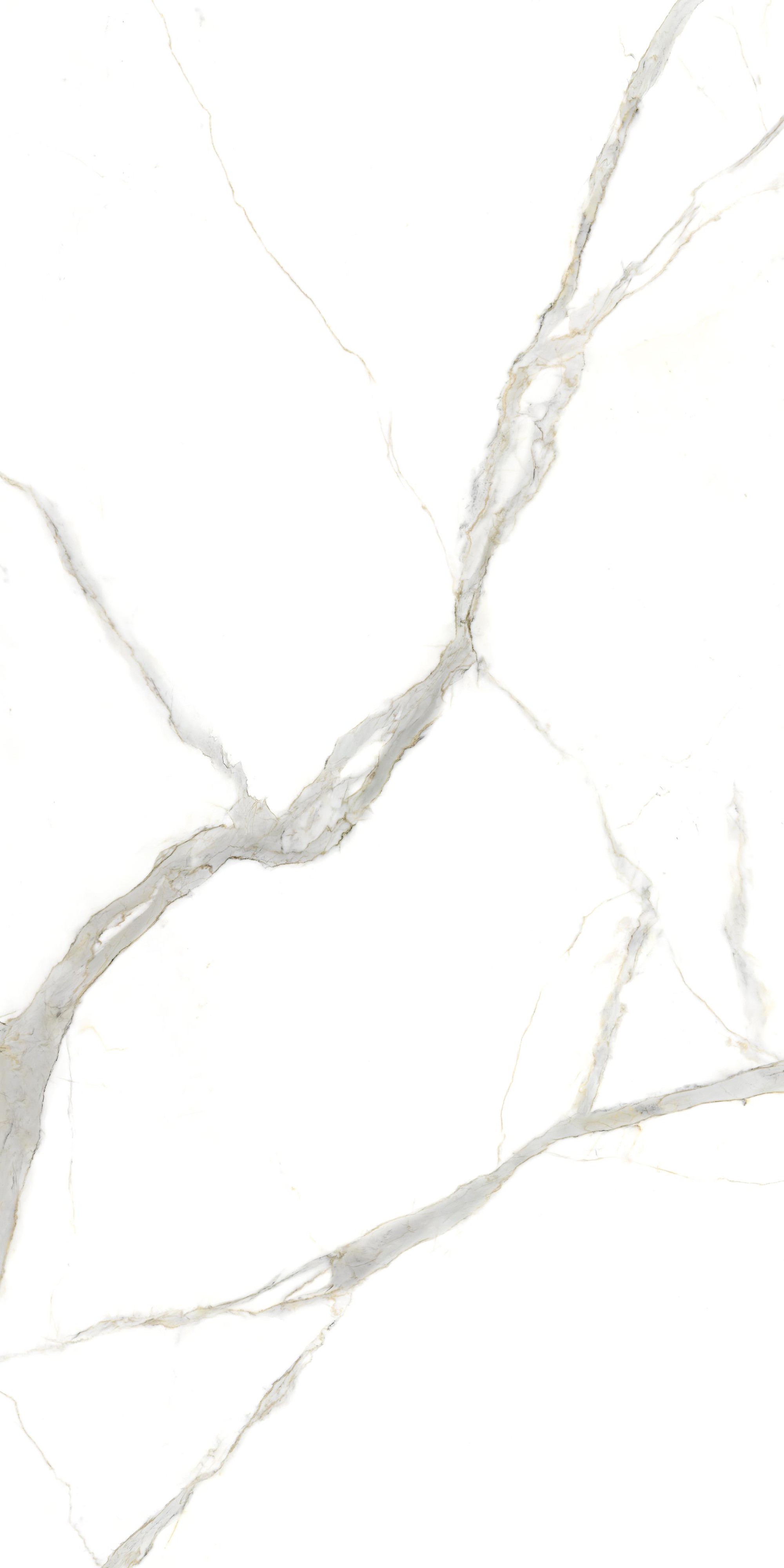 Calacatta Michelangelo Polished