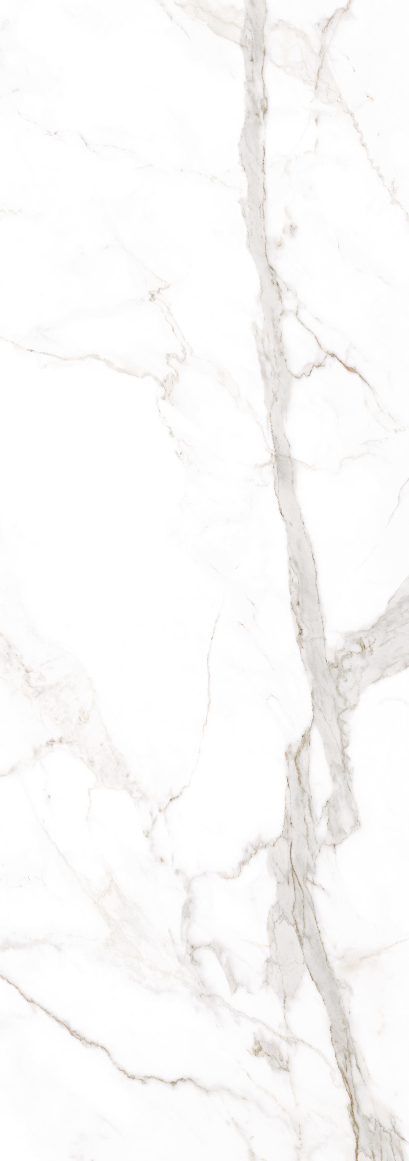 Calacatta Oro Venato Polished