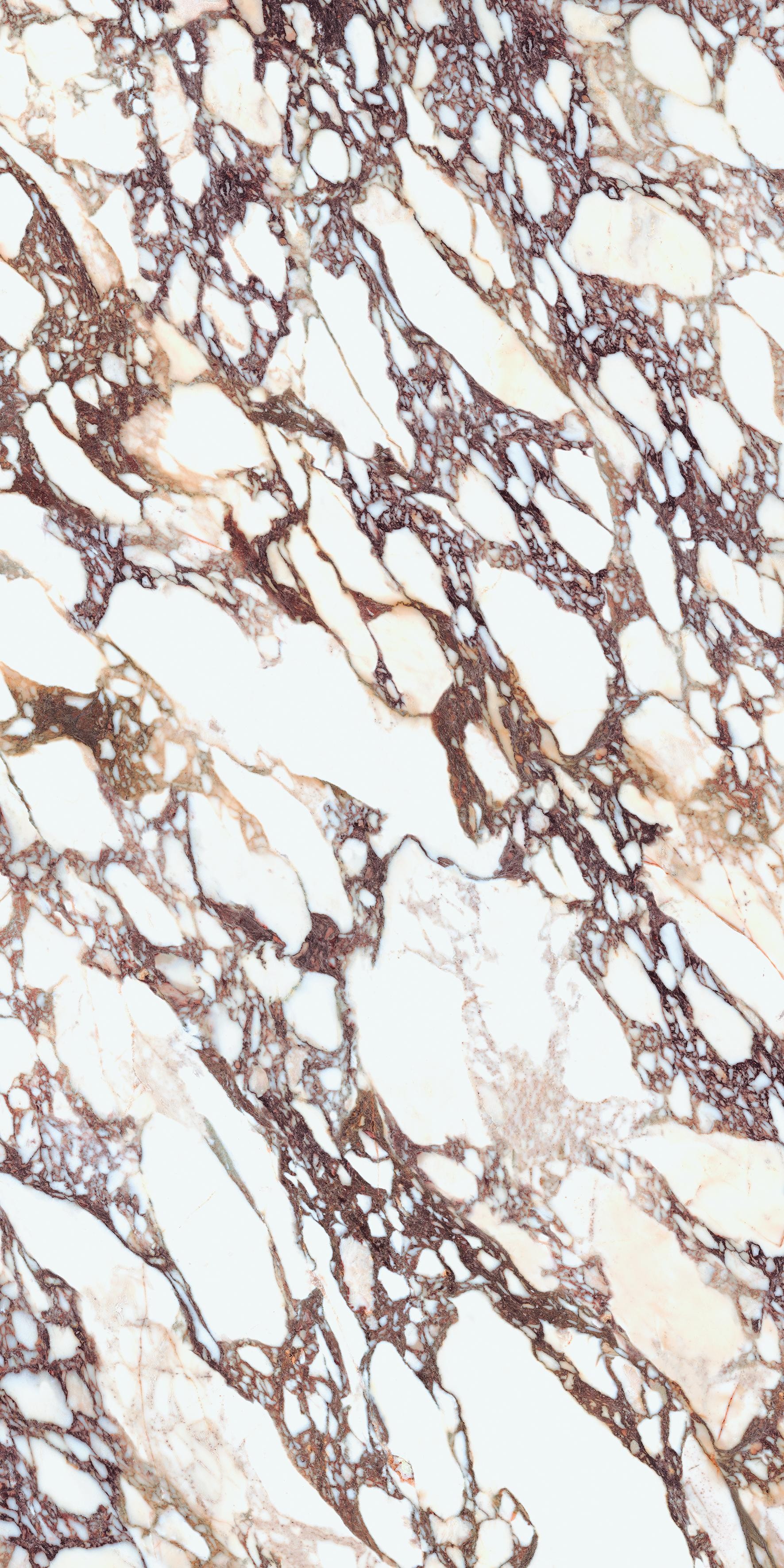 Calacatta Viola Book Match Polished