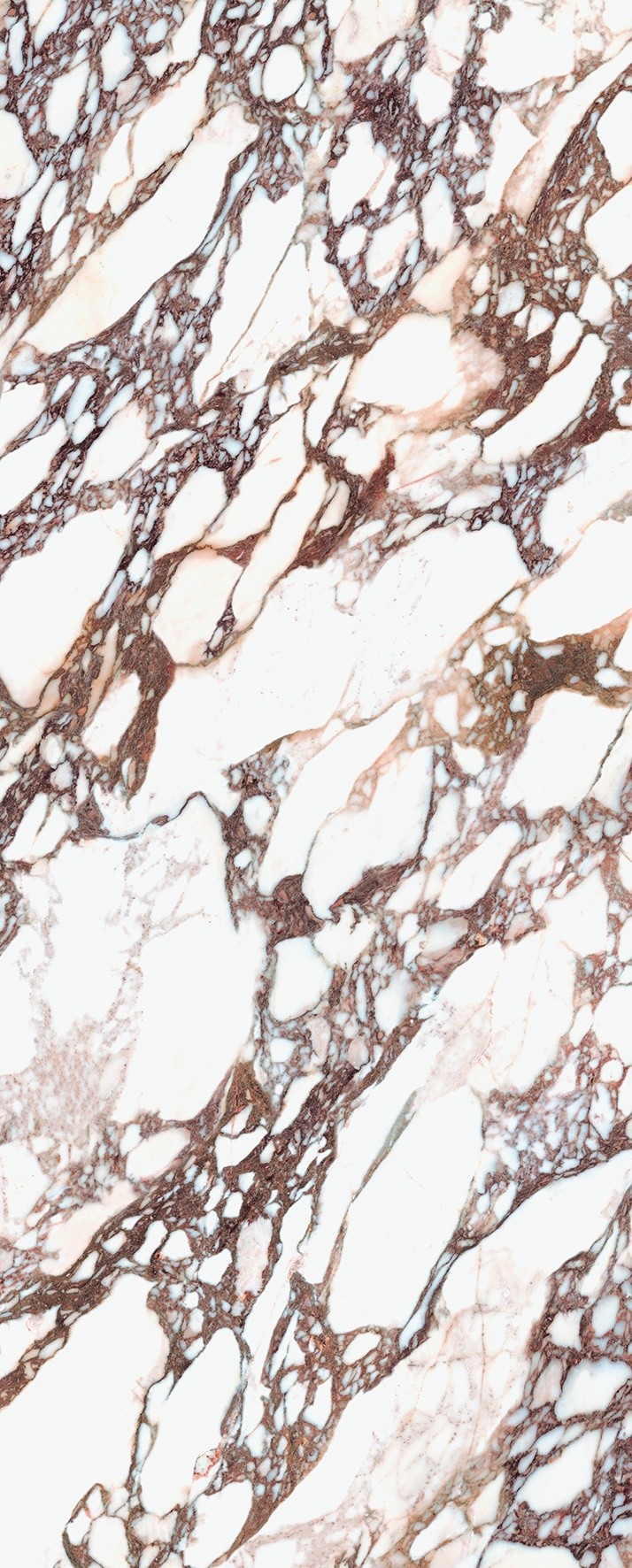 Calacatta Viola Polished