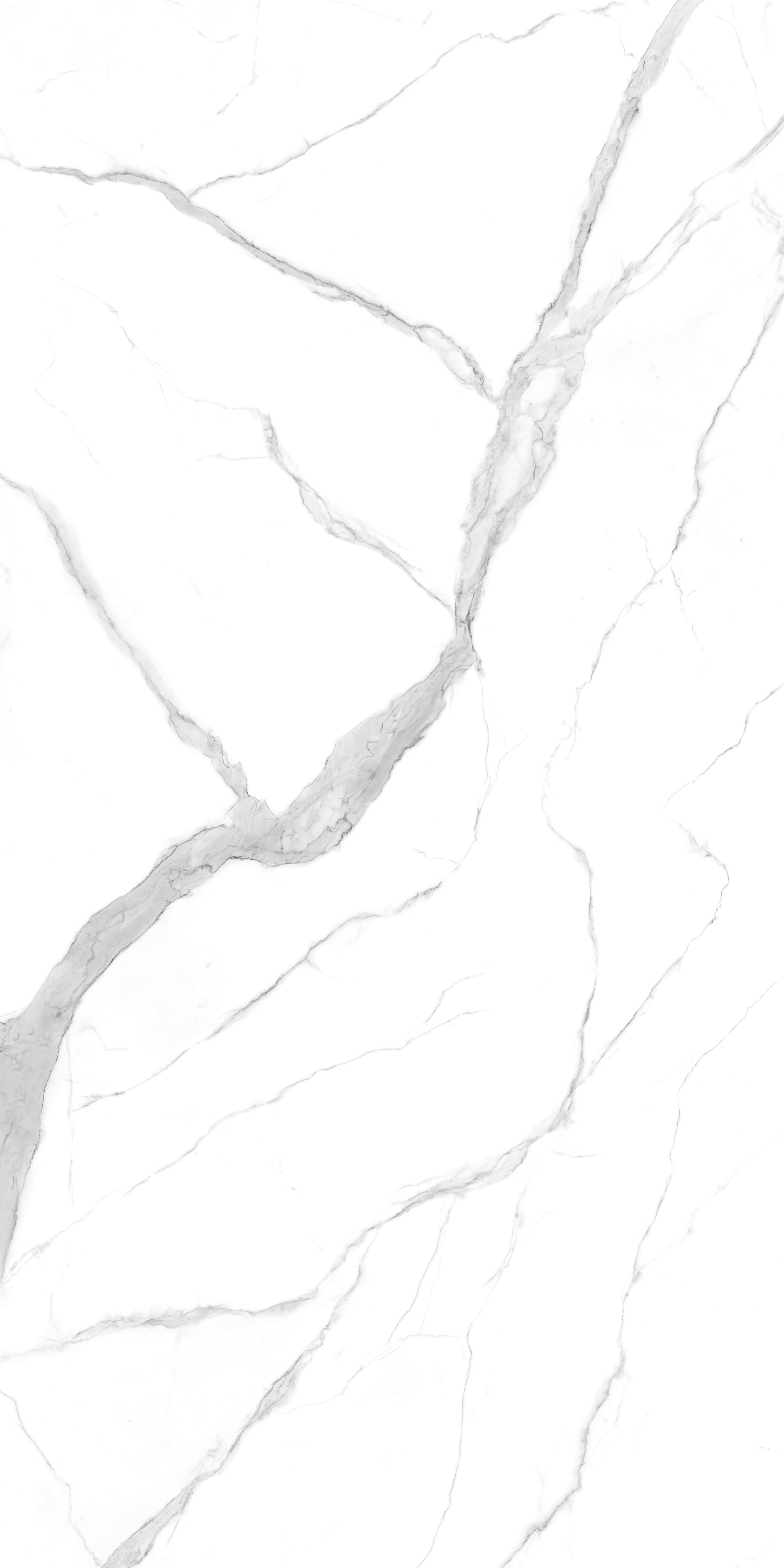 Statuario Altissimo Book Match Polished