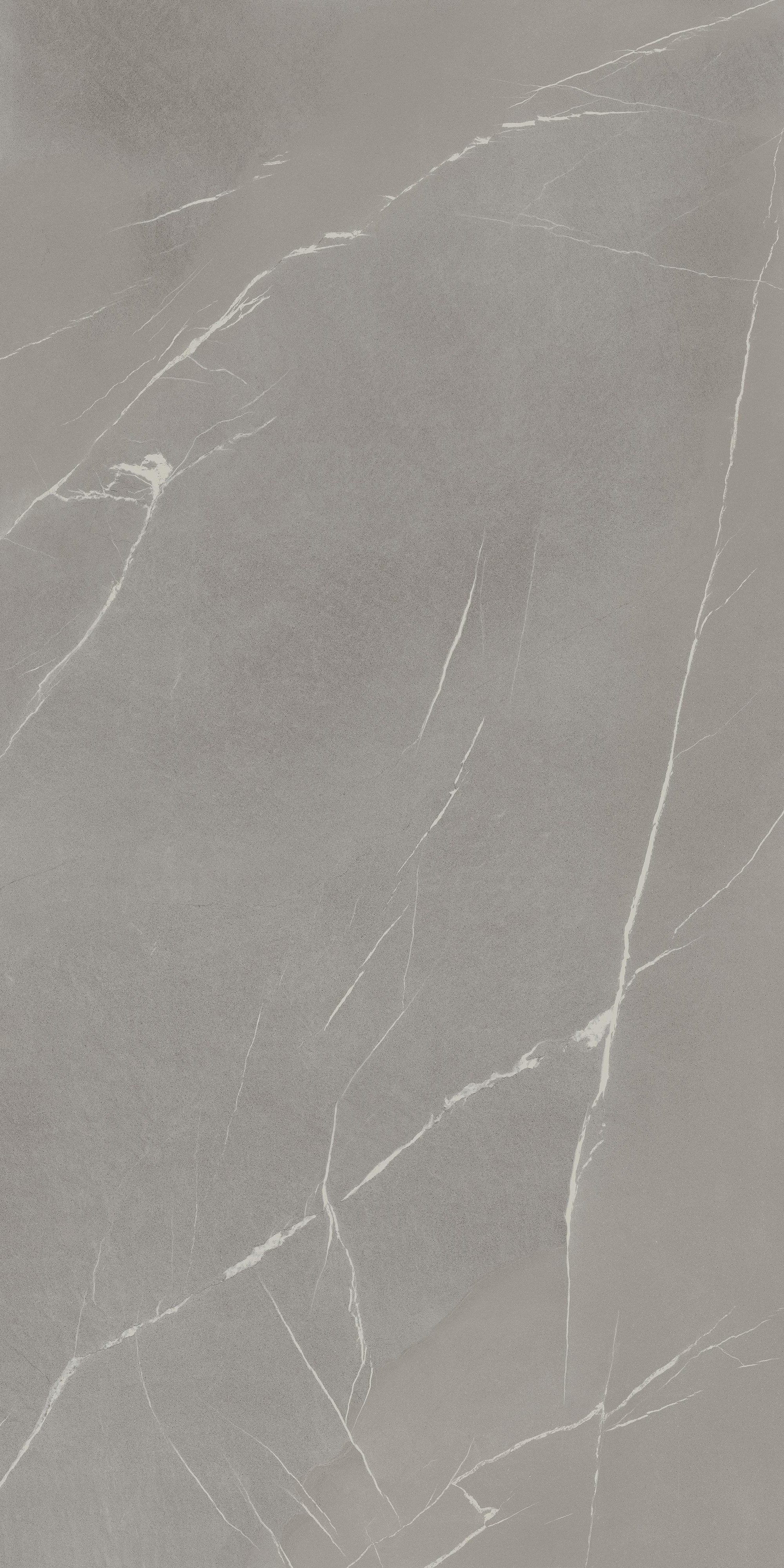 Pietra Piasentina Grigio Flamed
