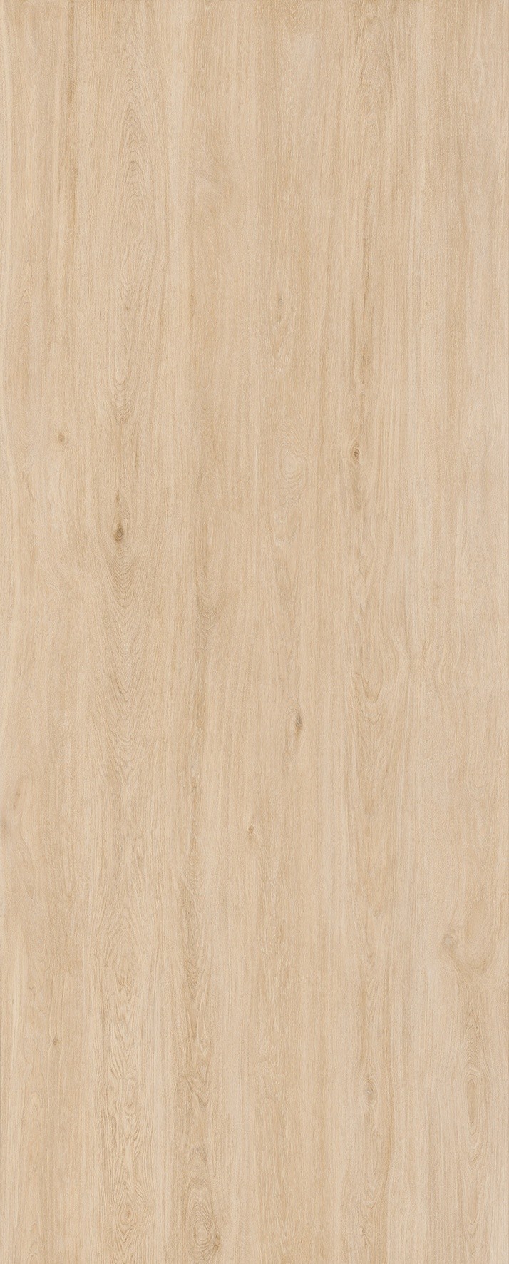 Enoki Natural