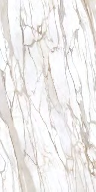 Calacatta Gold Book Match B Full Lappato