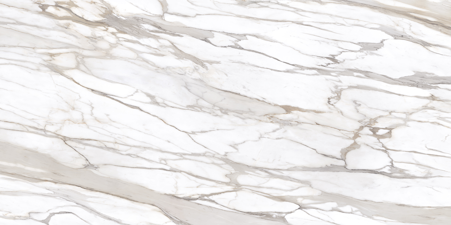 Calacatta Gold Lappato