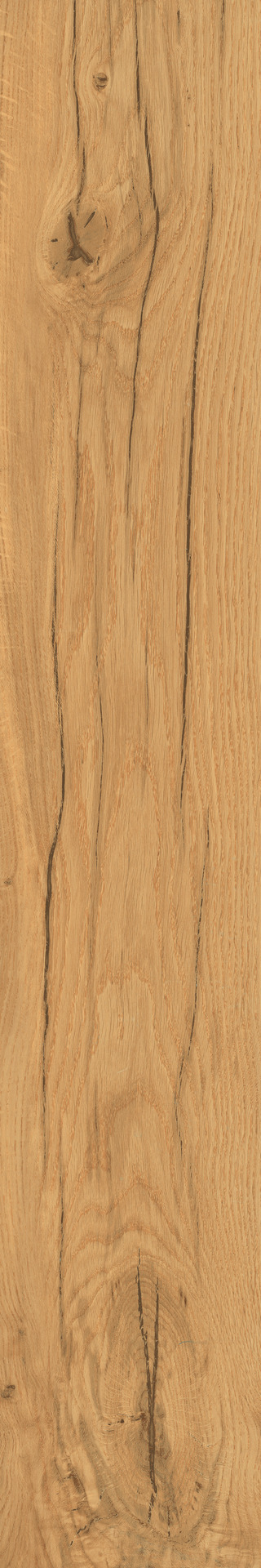 Alba Roble Str