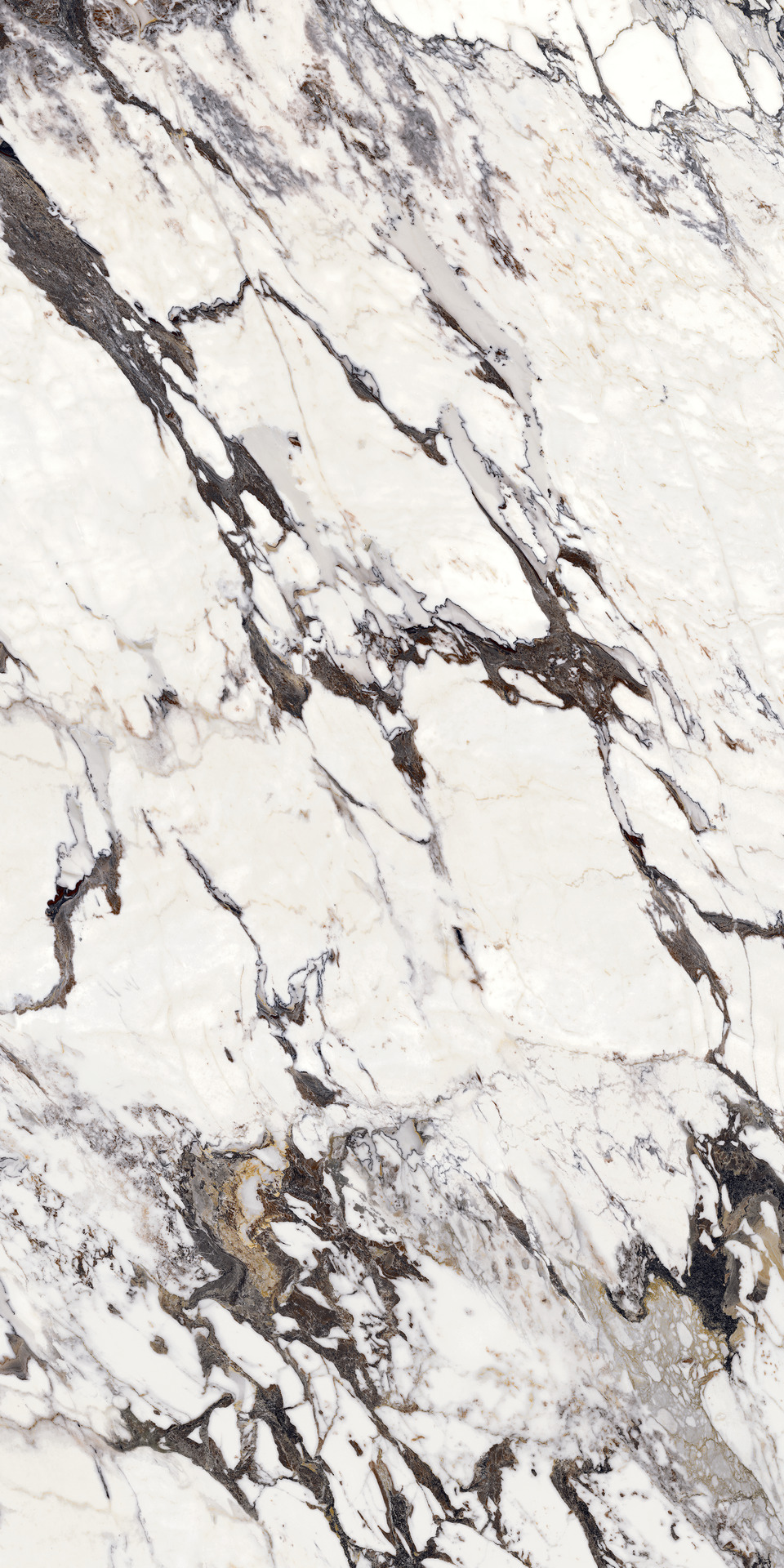 Grande_marble Look Capraia Rettificato