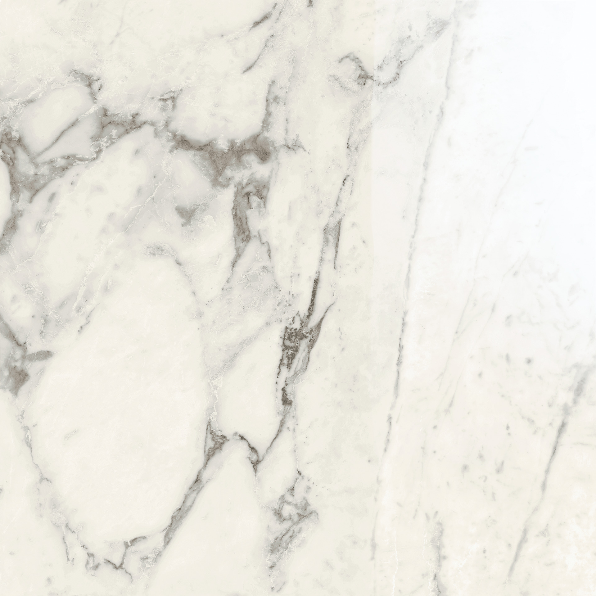 Allmarble Calacatta Extra Lux