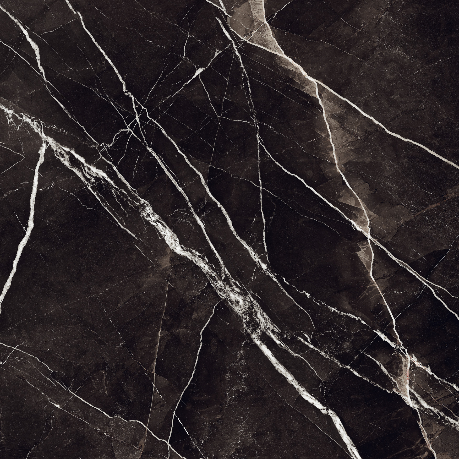 Grande Marble Look Calacatta Black Lux Rett.