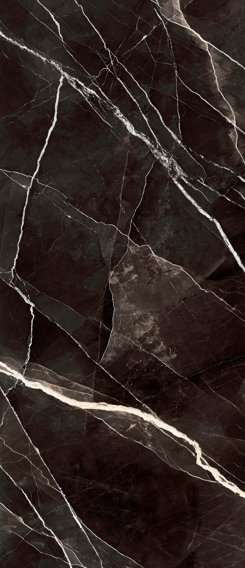 Grande Marble Look Calacatta Black Lux Rett.