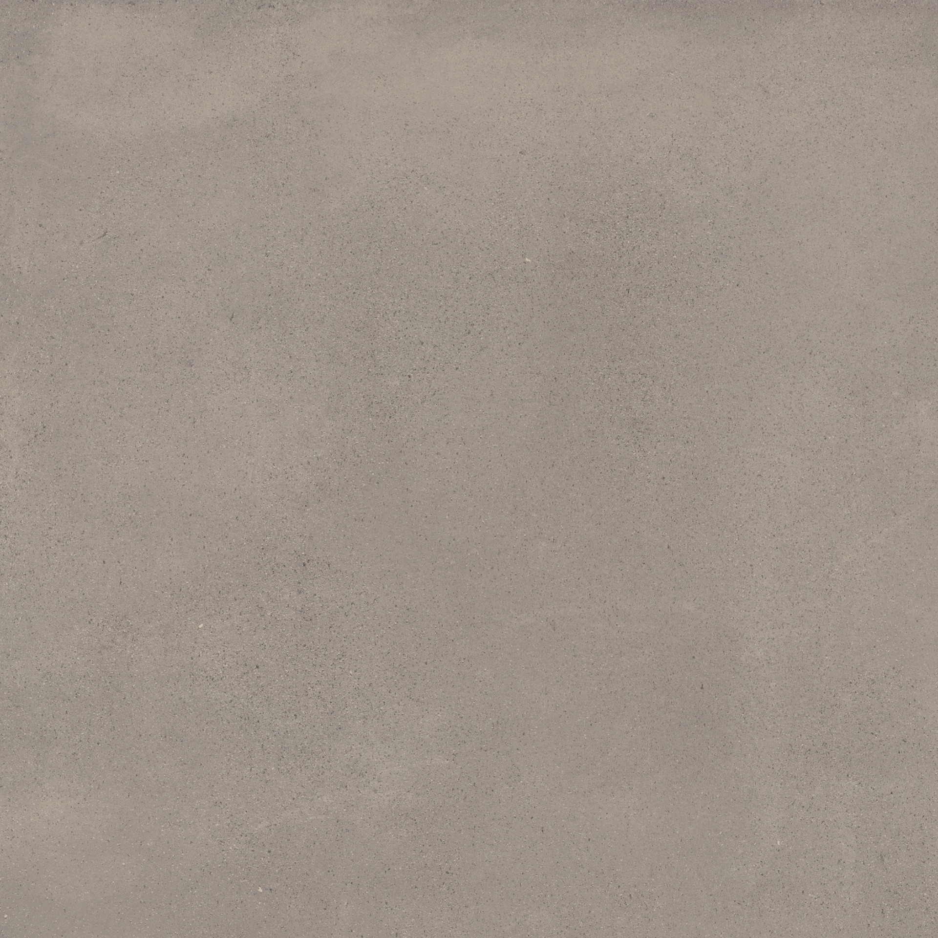 Appeal Taupe