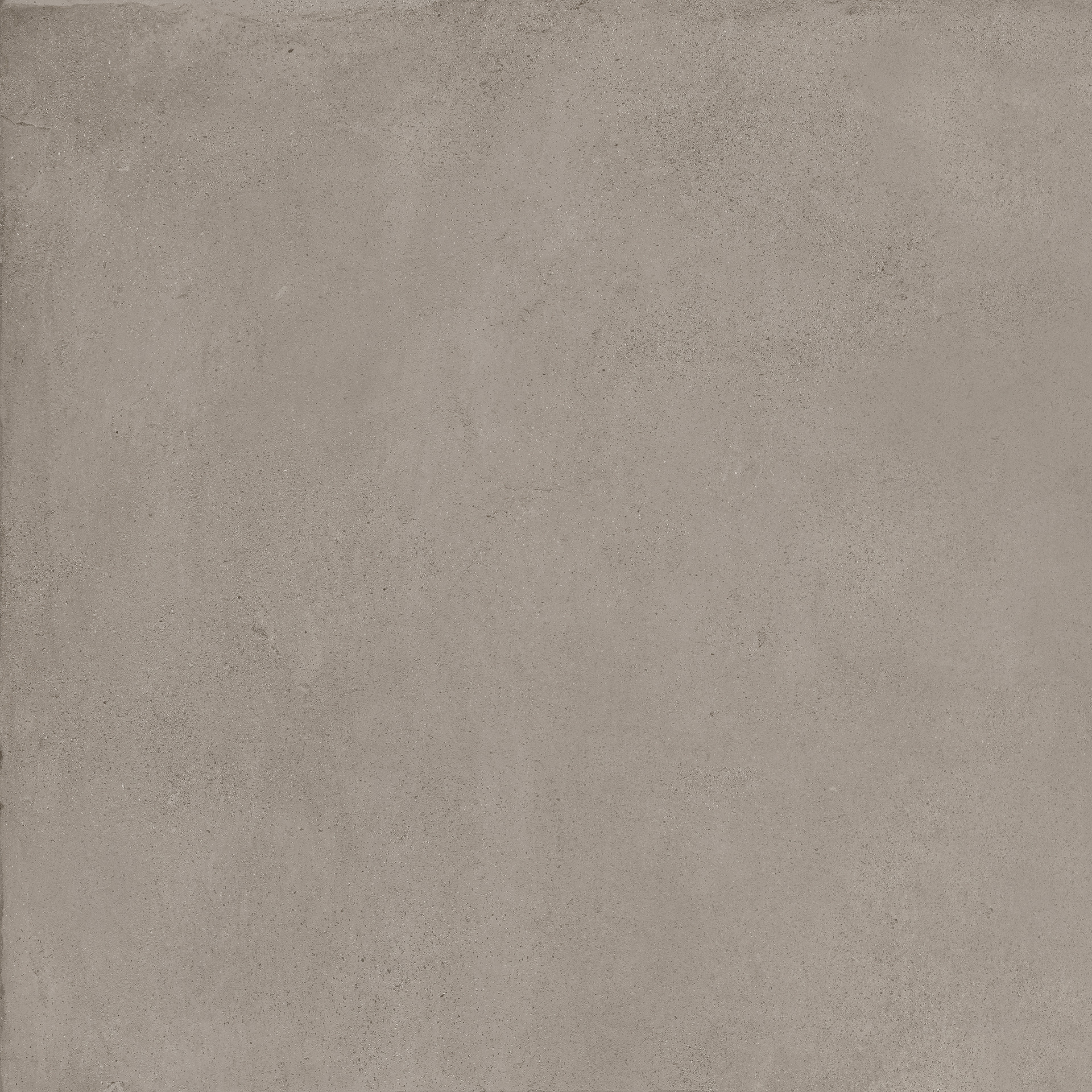 Appeal Taupe C2 Rett.