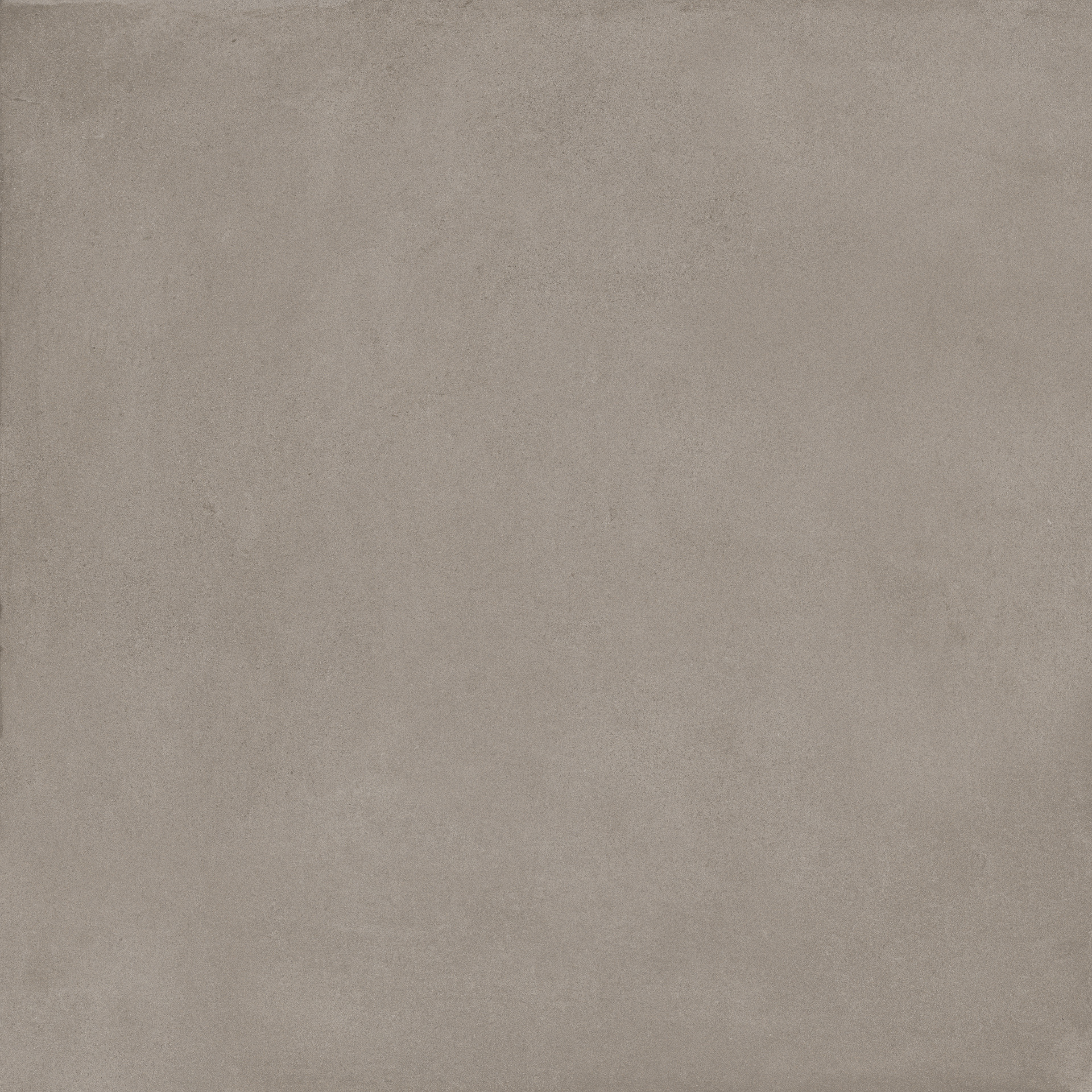 Appeal Taupe Rett.