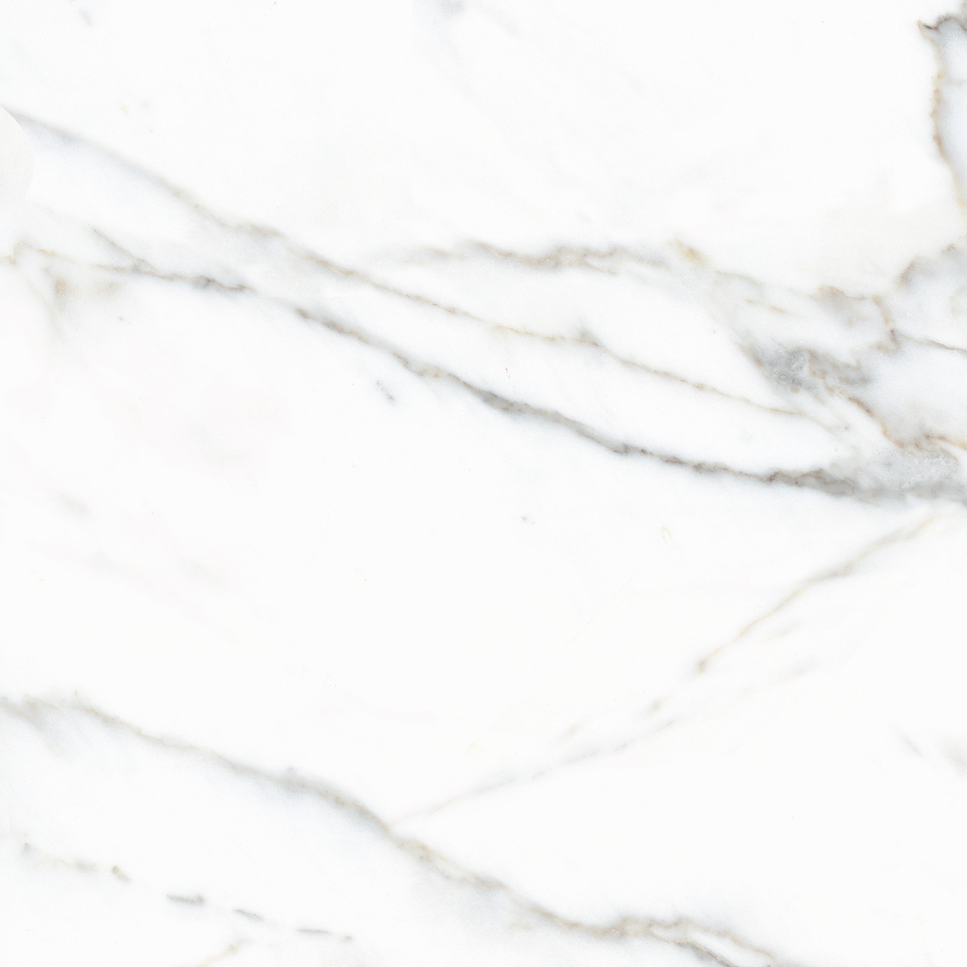 Arcadia Calacatta Ivory Rett.