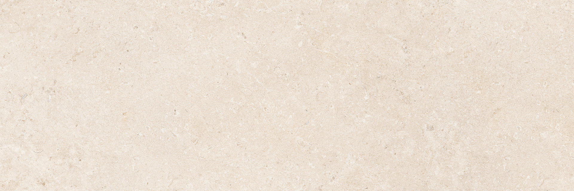 Caracter Blanco Rett.